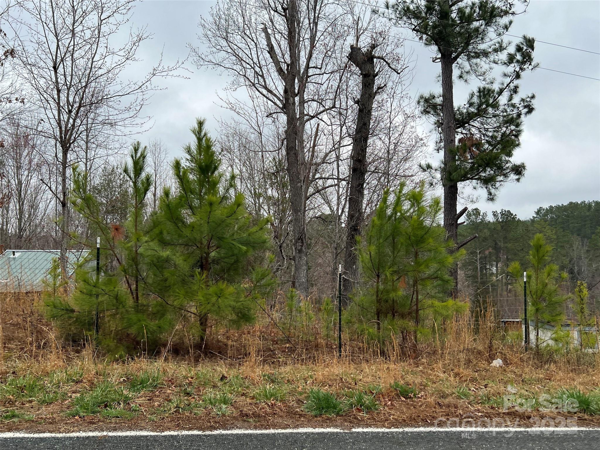 1217 Freeman Road - Photo 13
