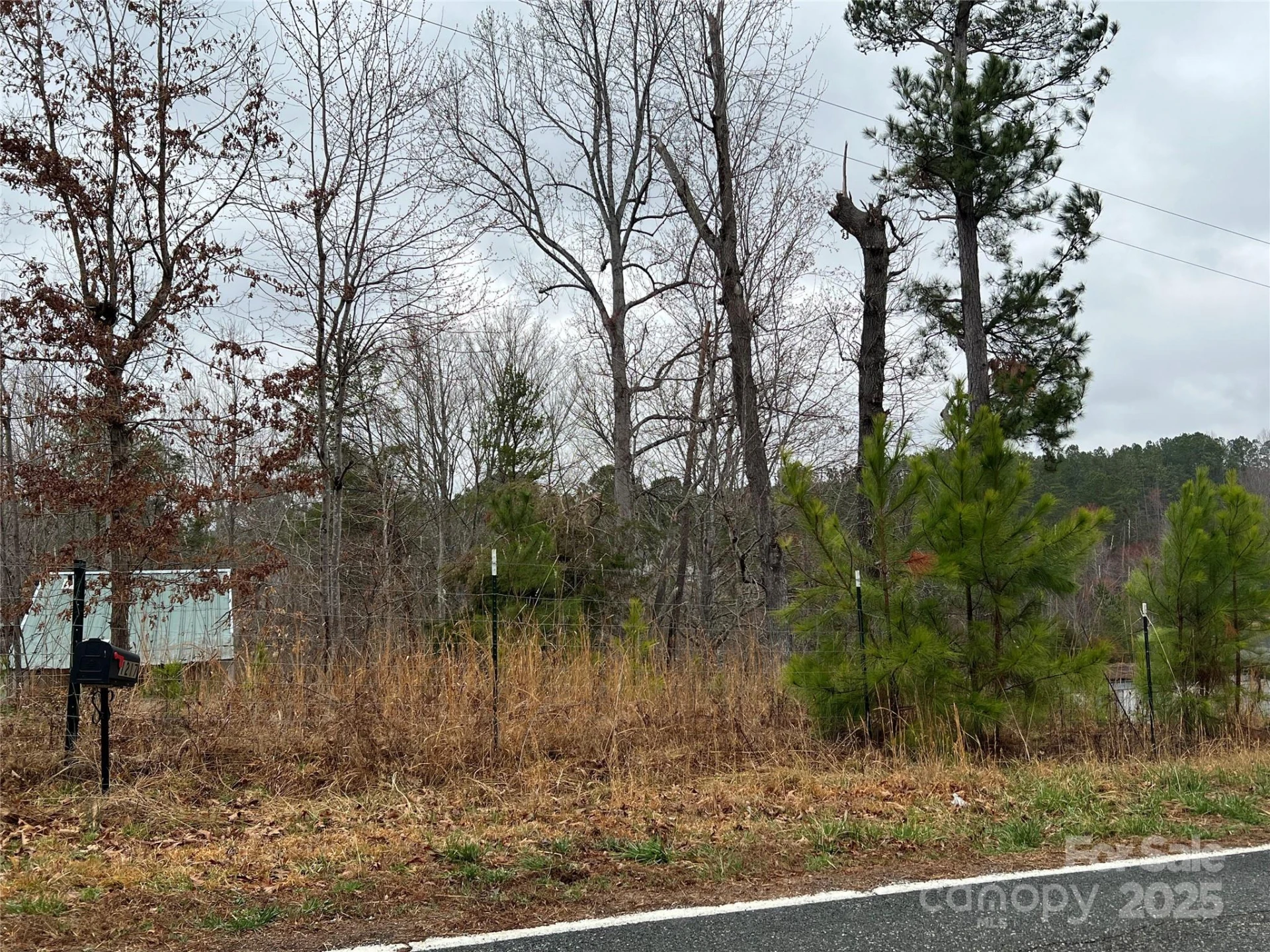 1217 Freeman Road - Photo 14