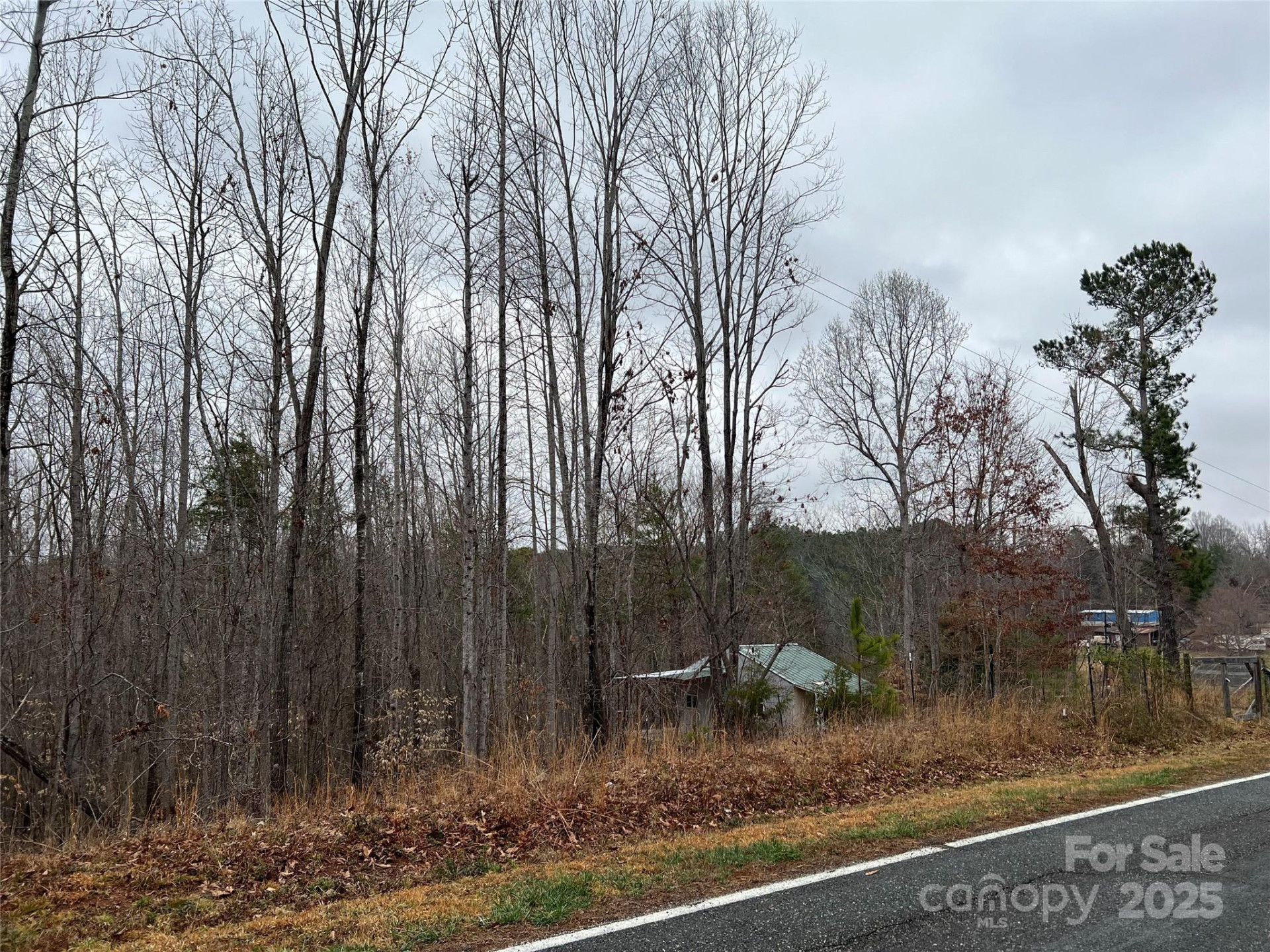 1217 Freeman Road - Photo 15
