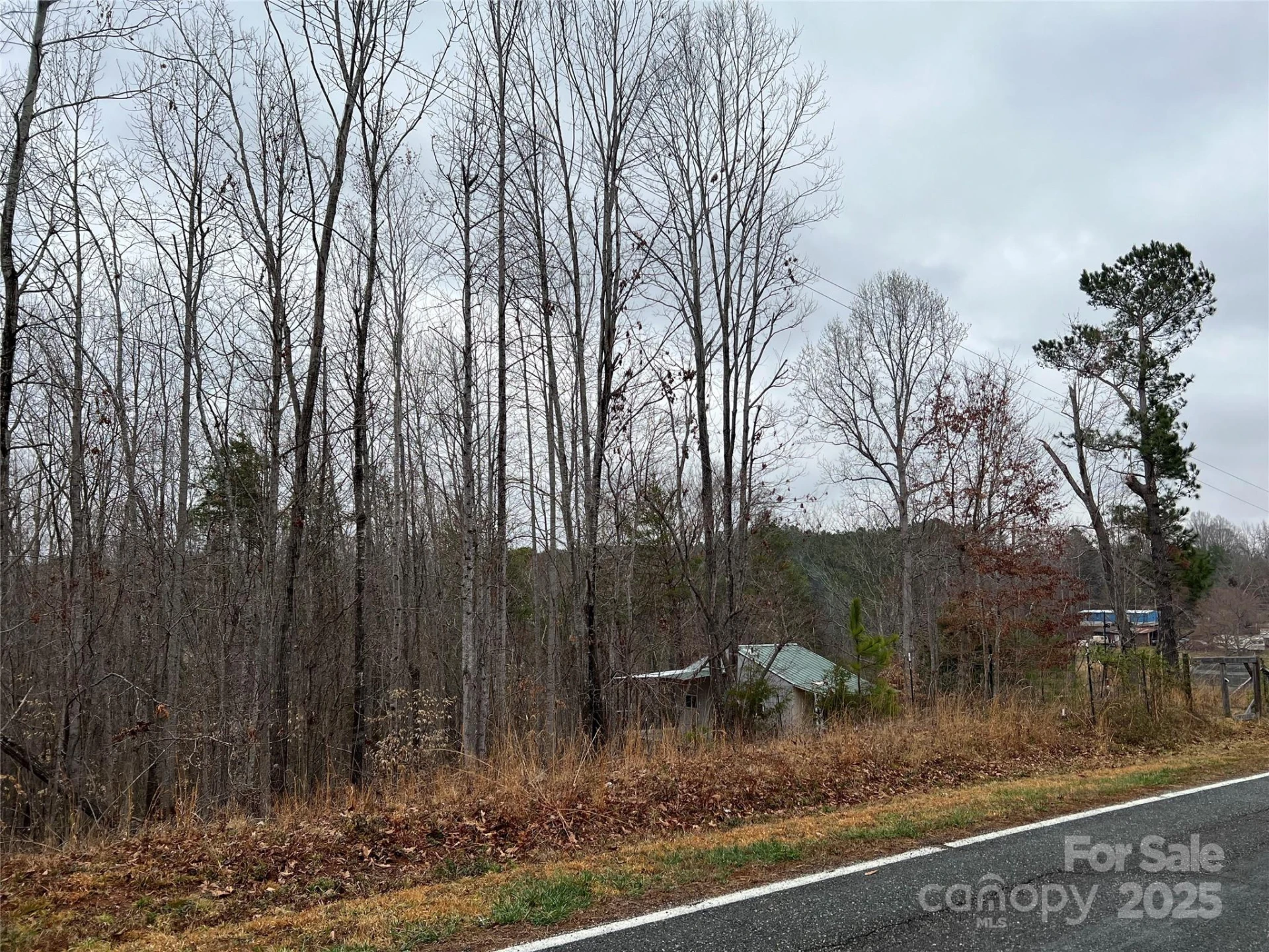 1217 Freeman Road - Photo 15