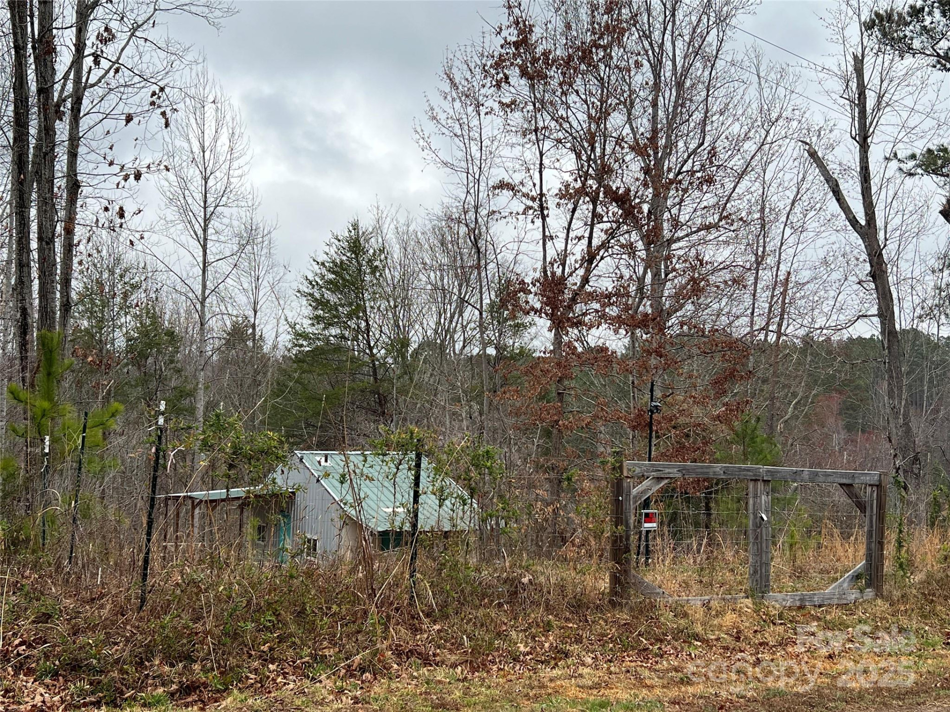 1217 Freeman Road - Photo 4