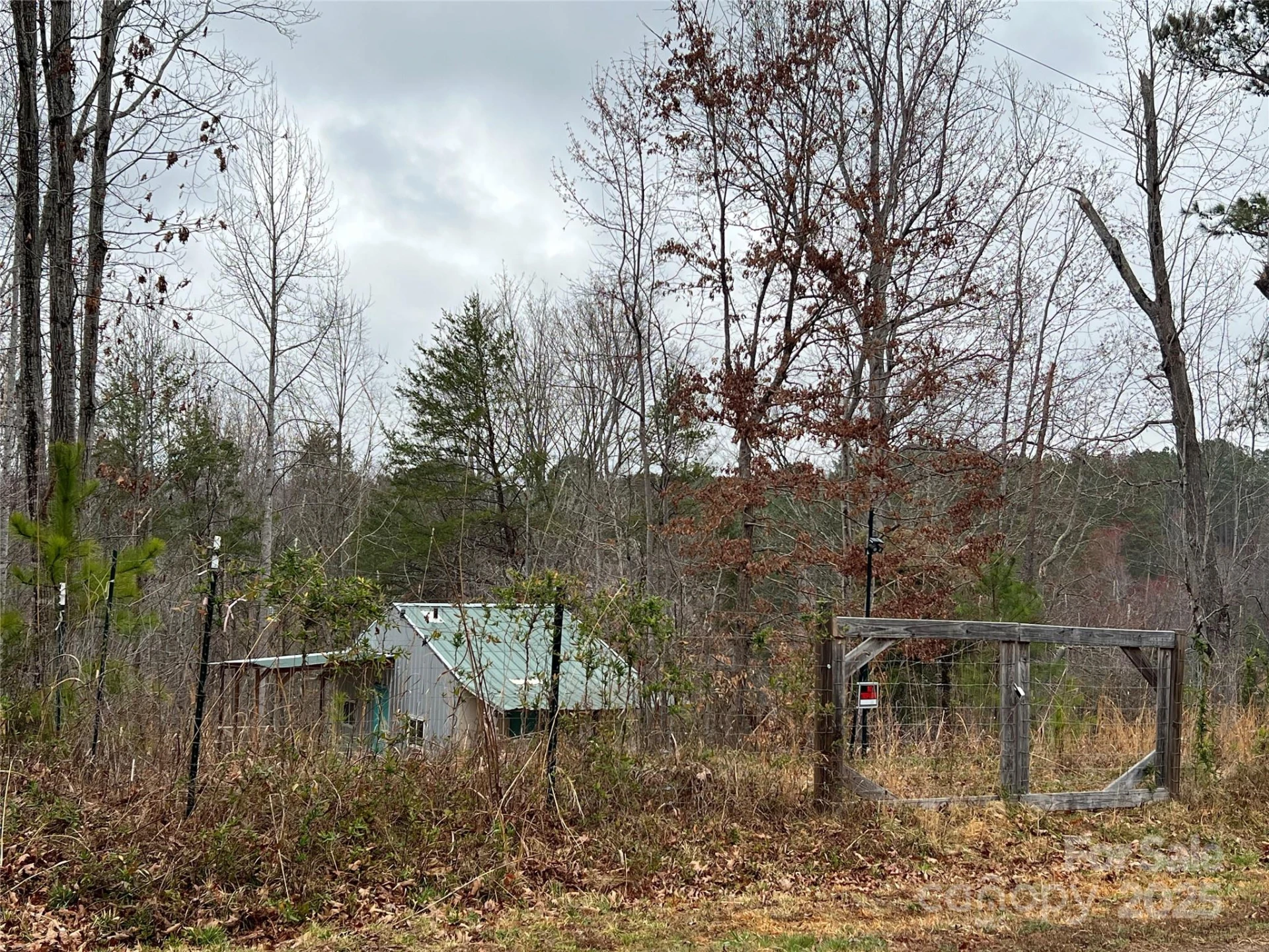 1217 Freeman Road - Photo 4