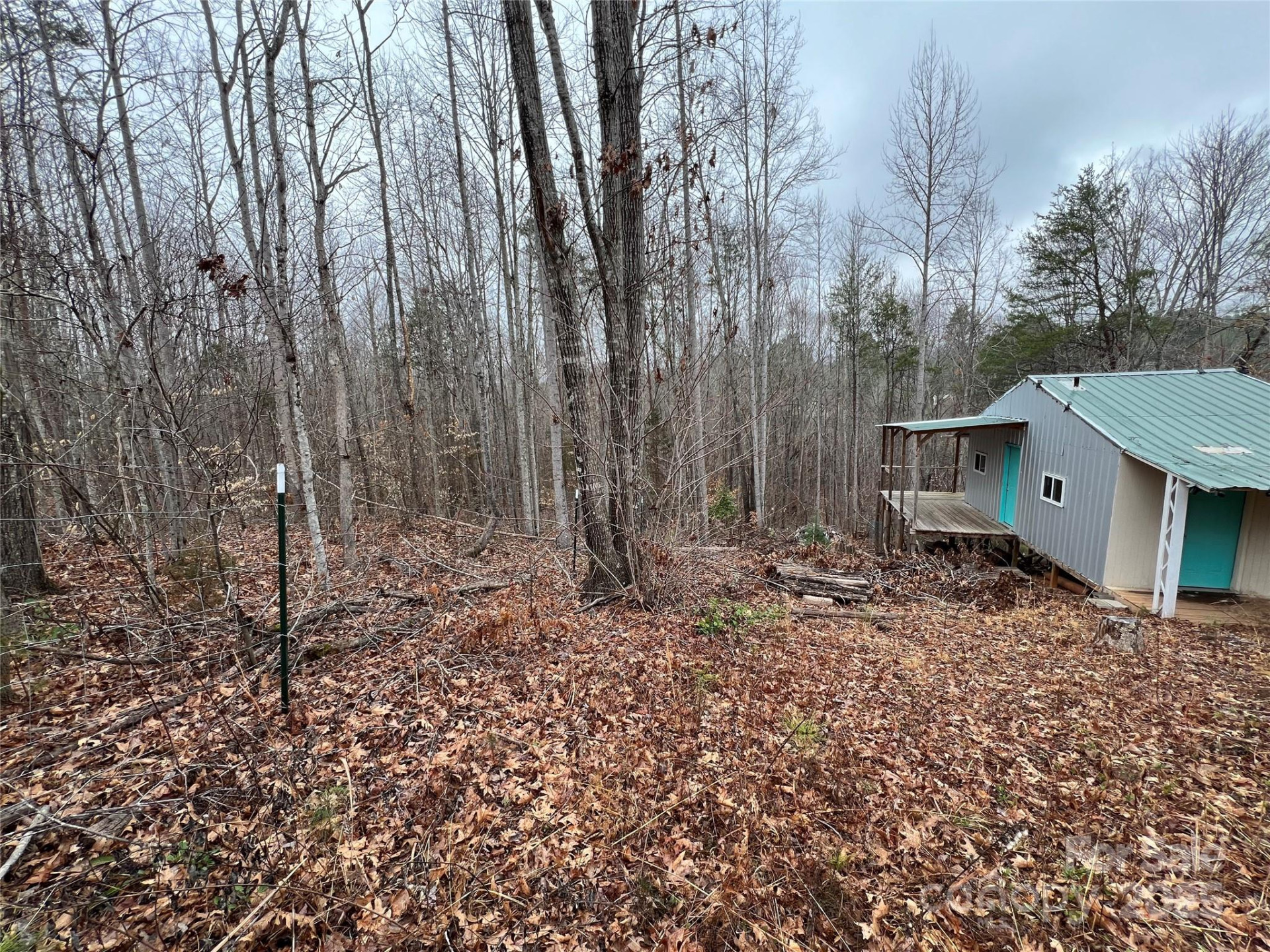 1217 Freeman Road - Photo 6