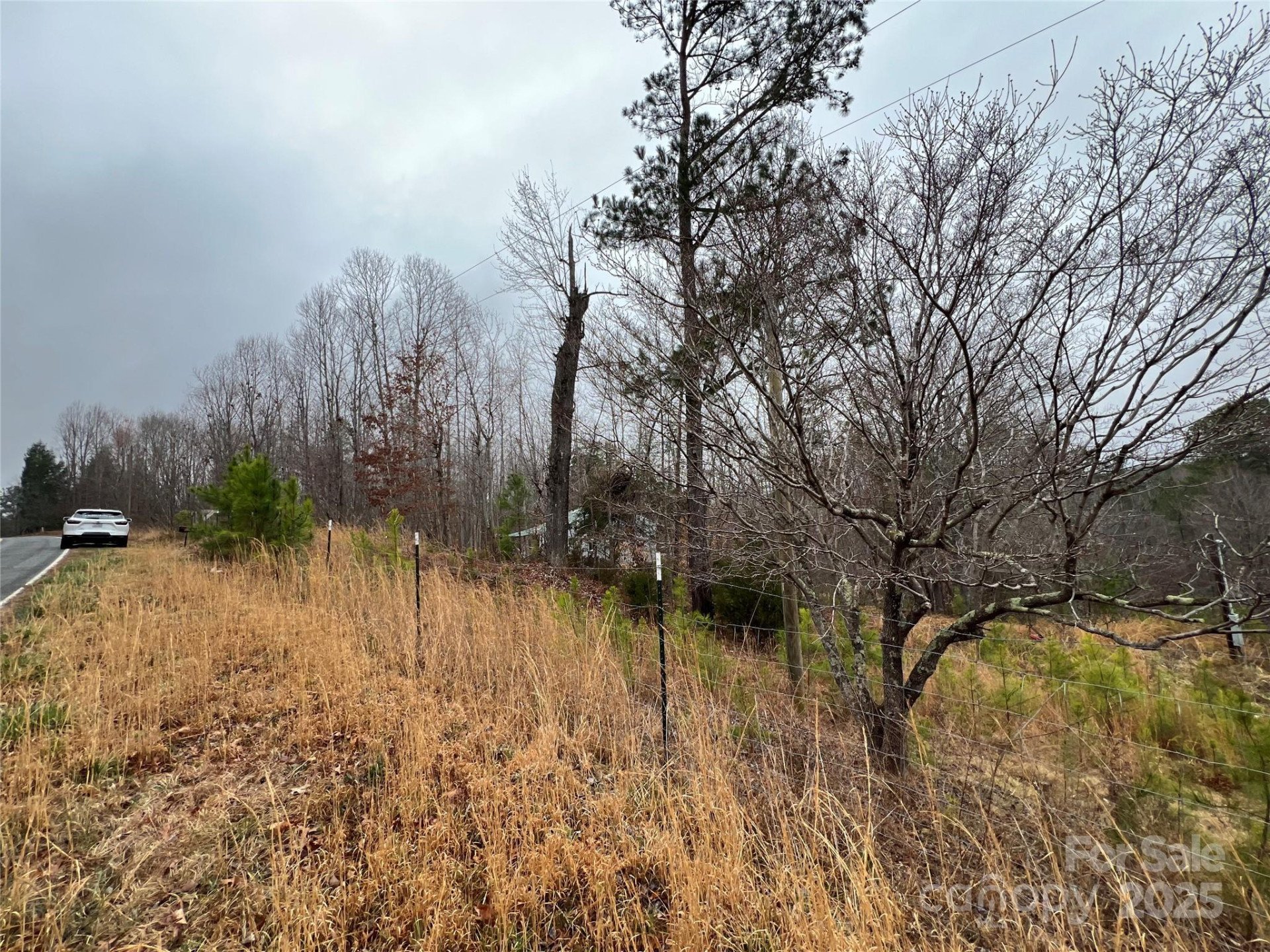 1217 Freeman Road - Photo 7
