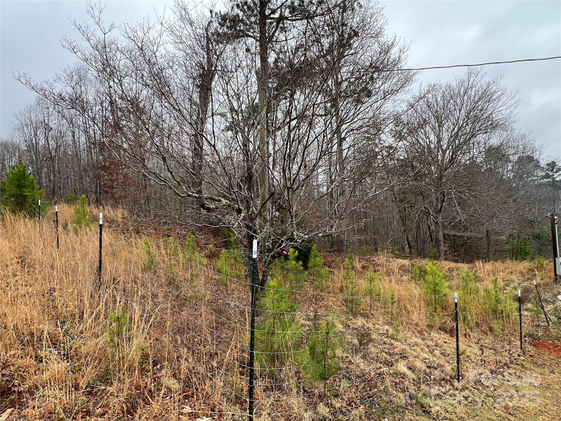 1217 Freeman Road - Photo 8