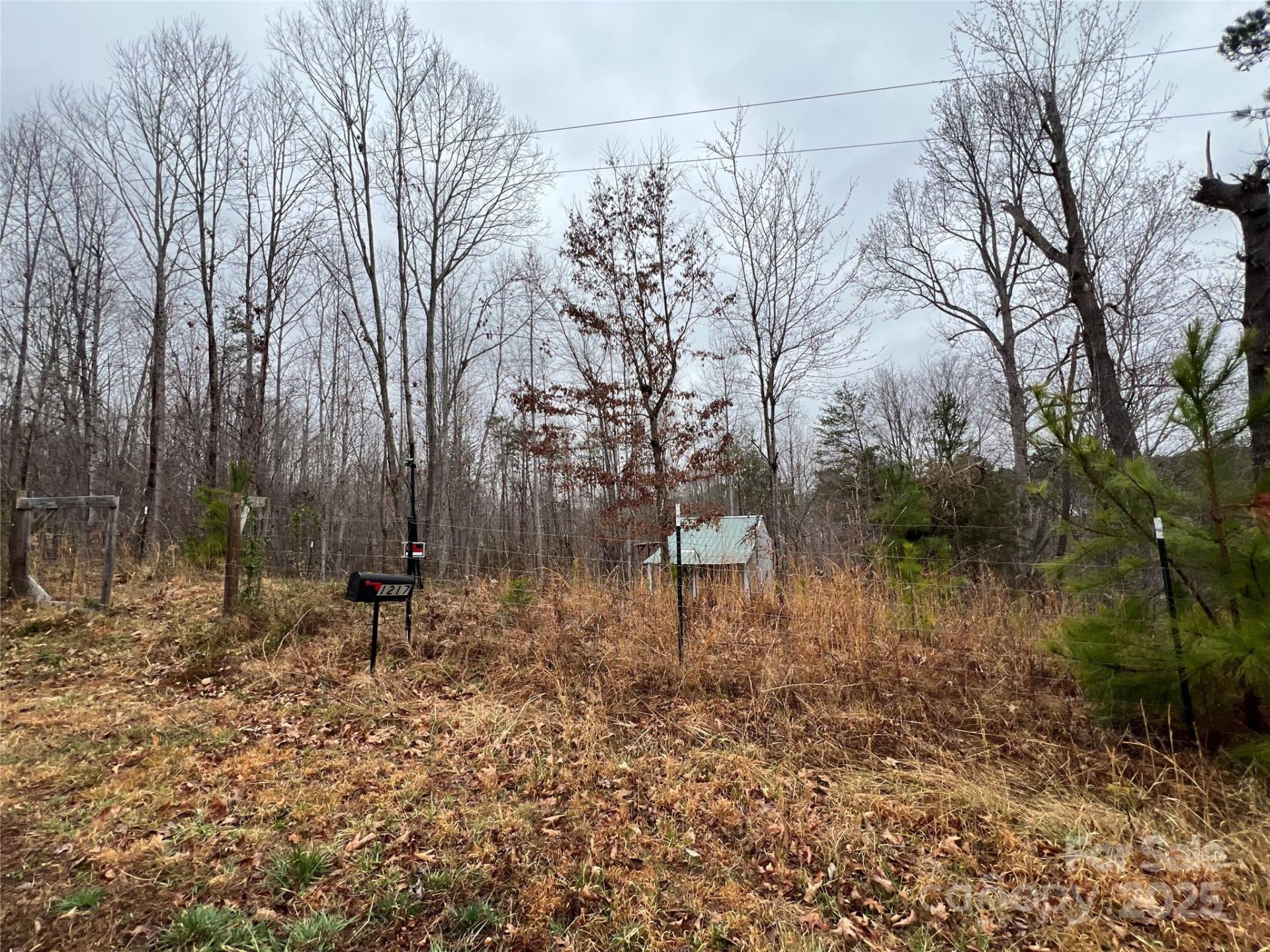 1217 Freeman Road - Photo 10