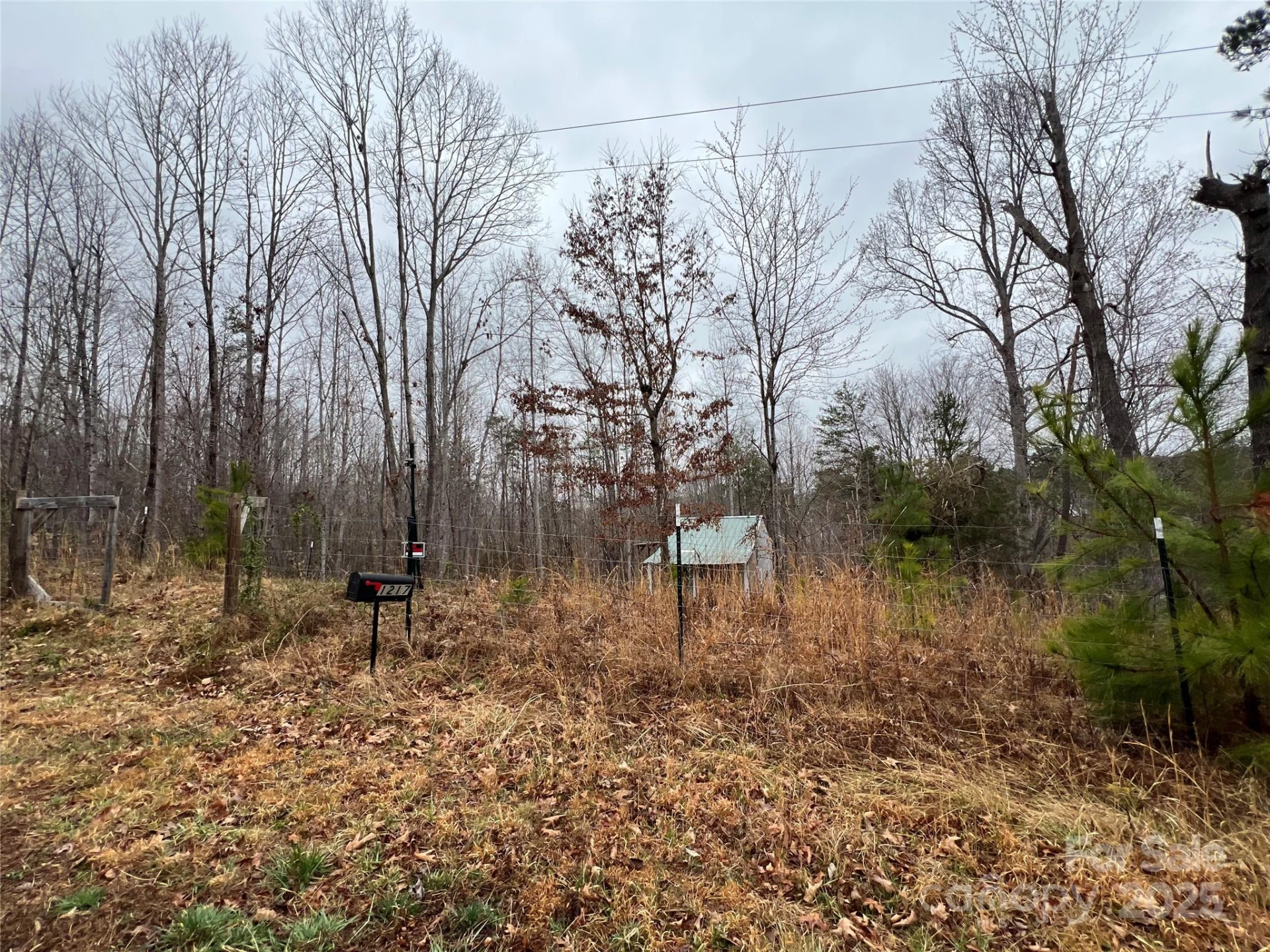 1217 Freeman Road - Photo 10
