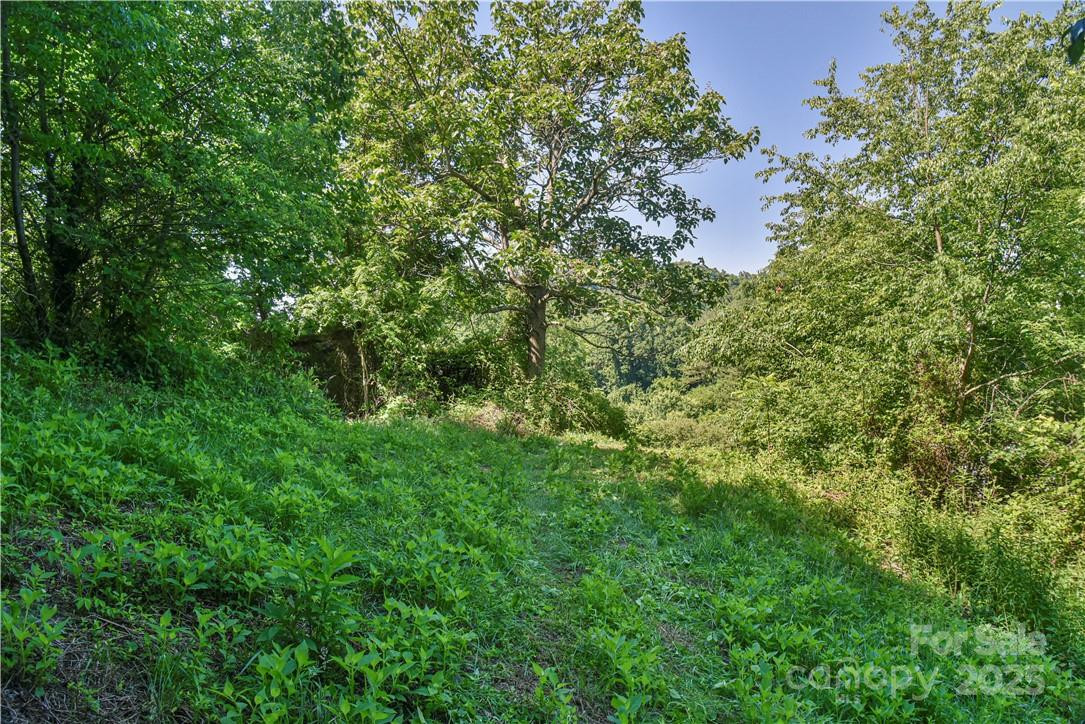 415 Weaverville Road #59 1/2 PT 59 & PT 60 - Photo 26