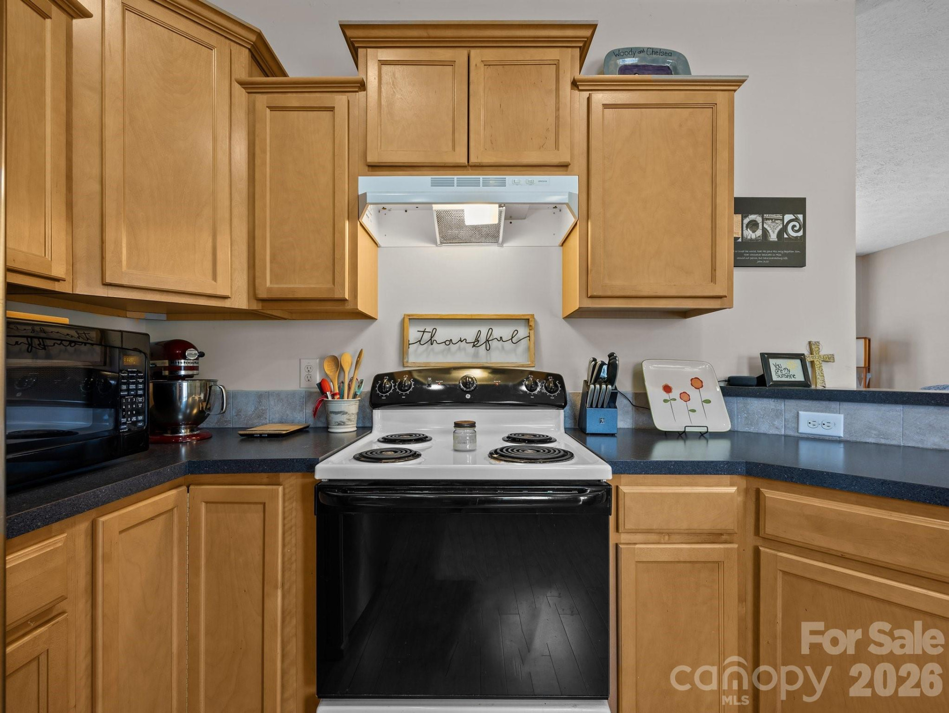 233 Thompson Cove None - Photo 12