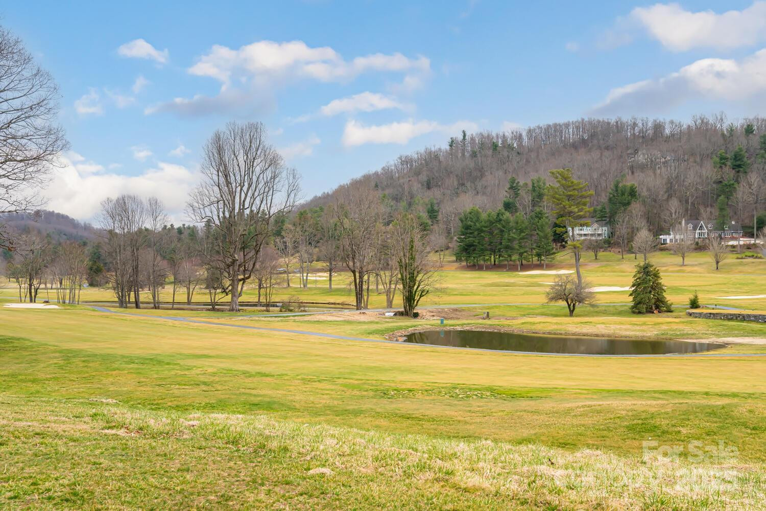 173 Winding Meadows Drive - Photo 41