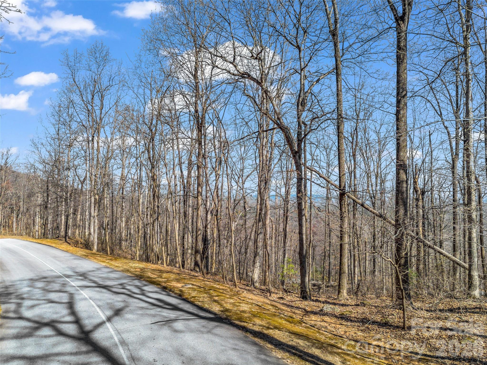 183 Chesterfield Drive #183 - Photo 5