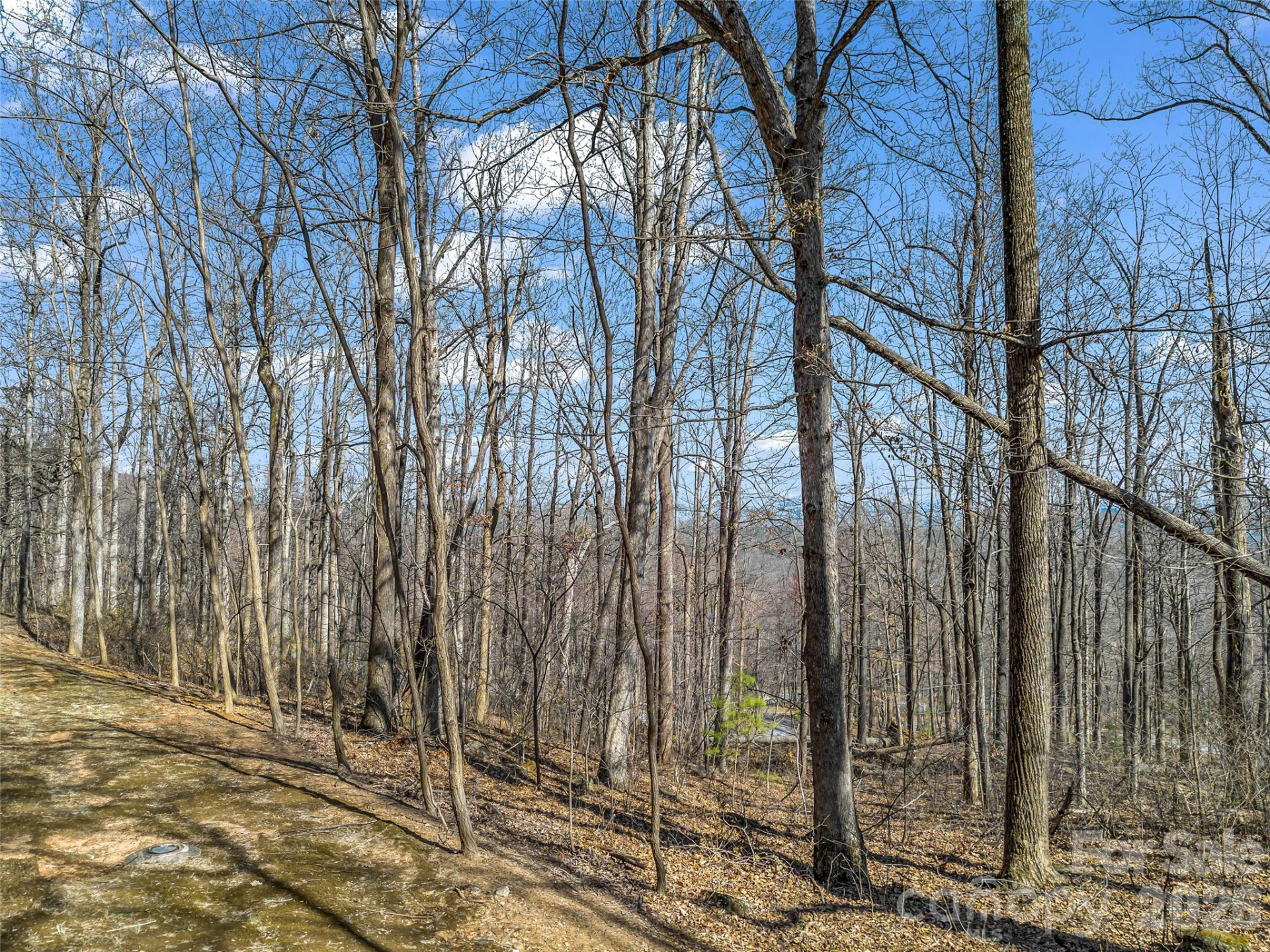 183 Chesterfield Drive #183 - Photo 6