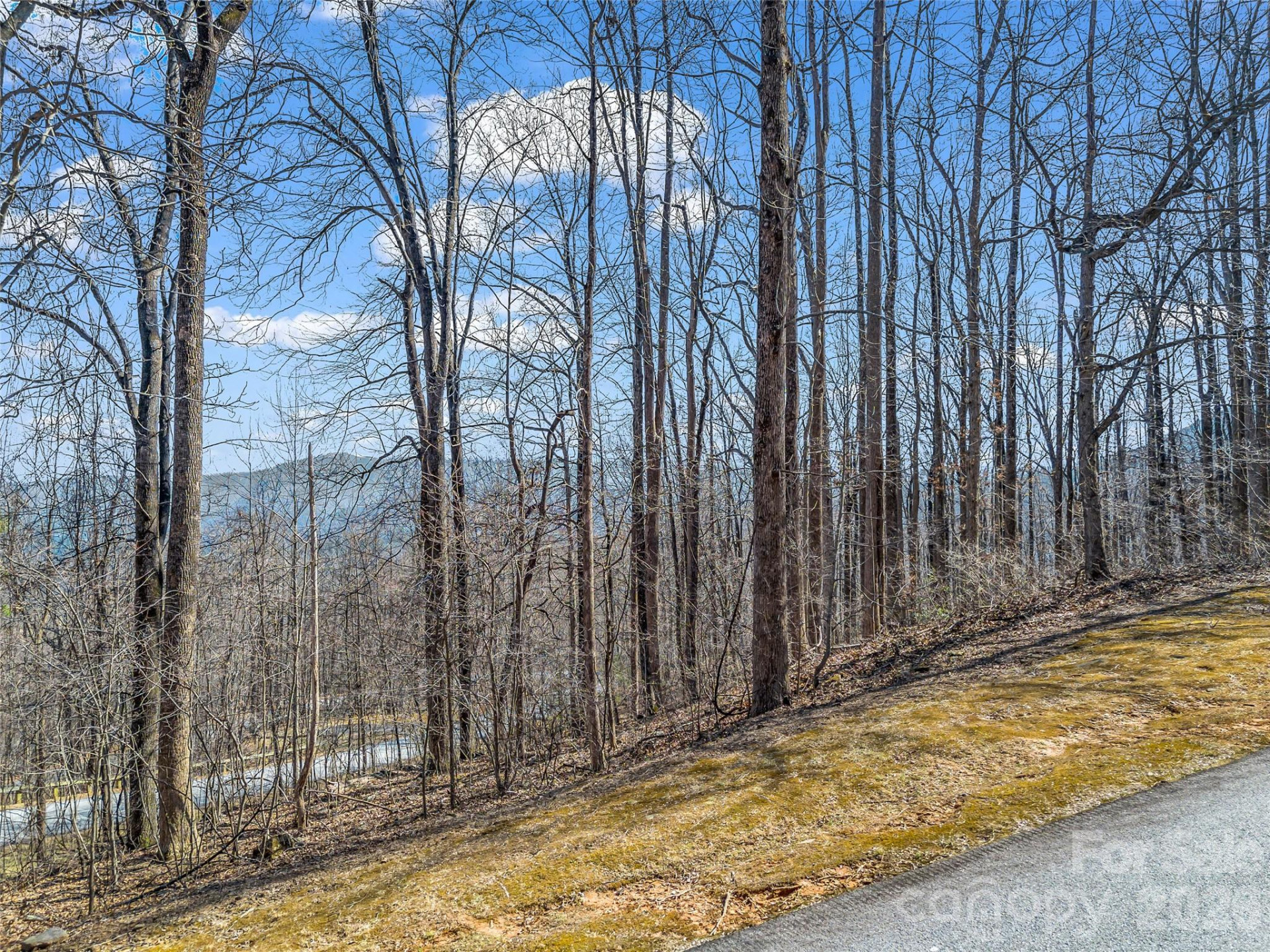 183 Chesterfield Drive #183 - Photo 7