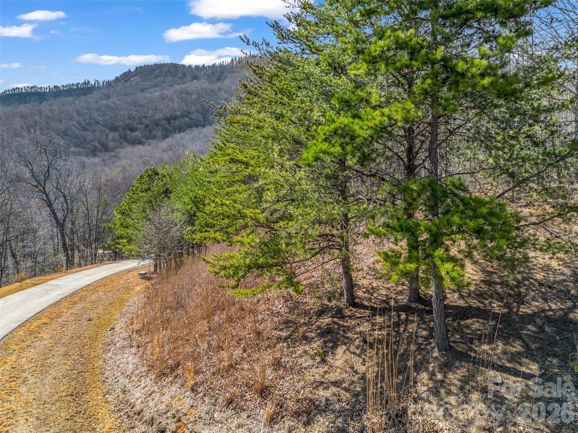 190 Cherry Hill None - Photo 11