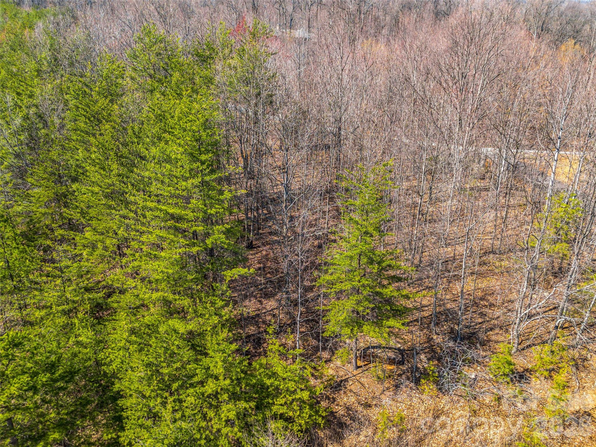 190 Cherry Hill None - Photo 12