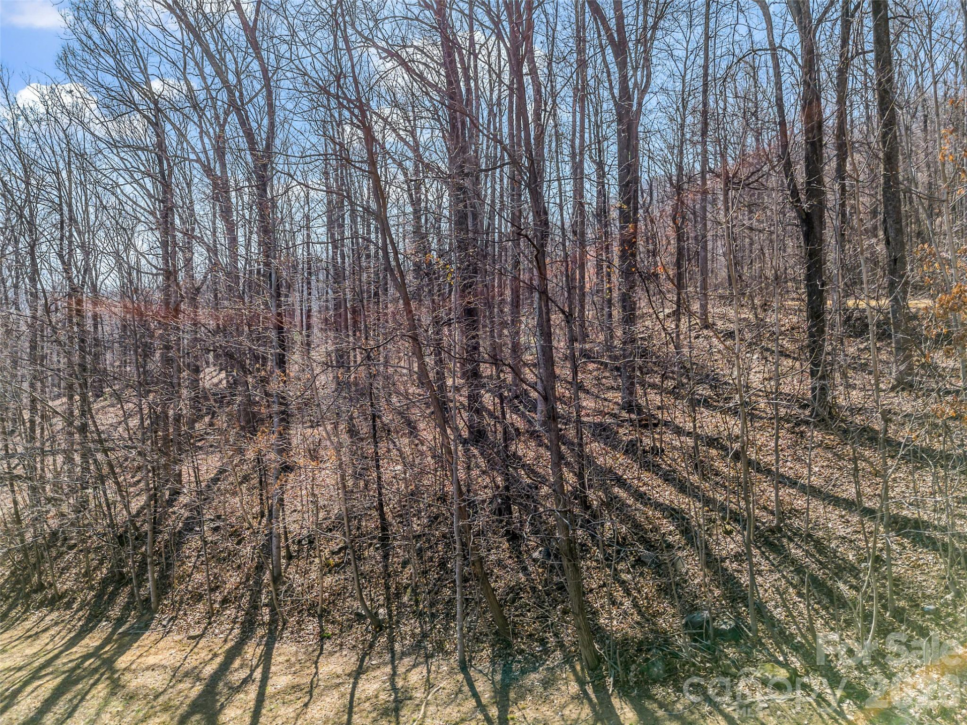 190 Cherry Hill None - Photo 5