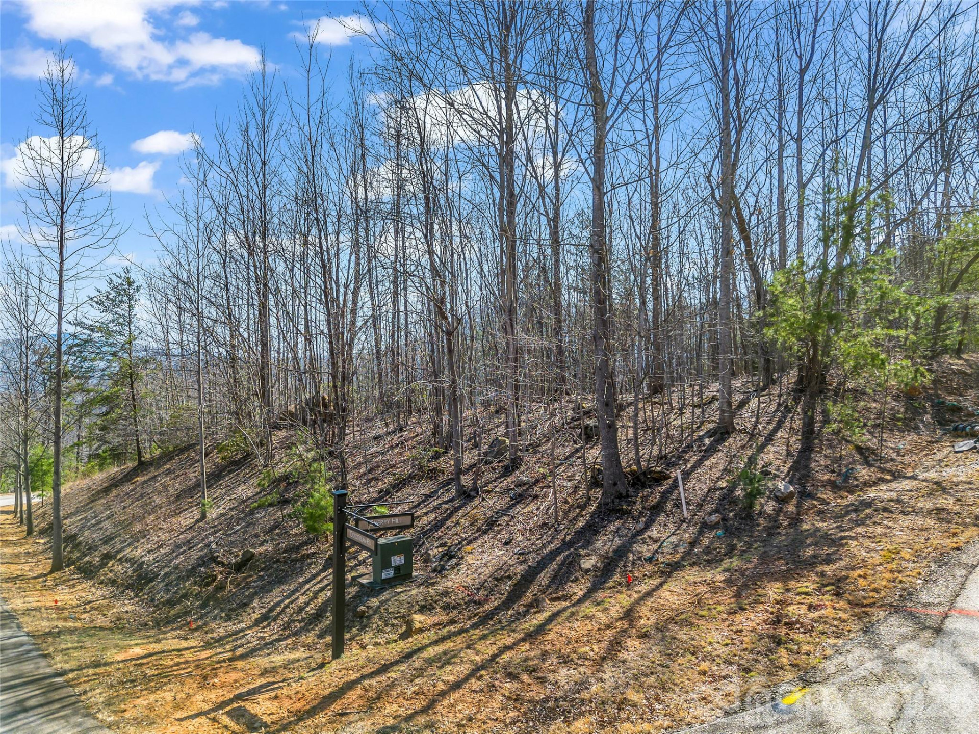 190 Cherry Hill None - Photo 6