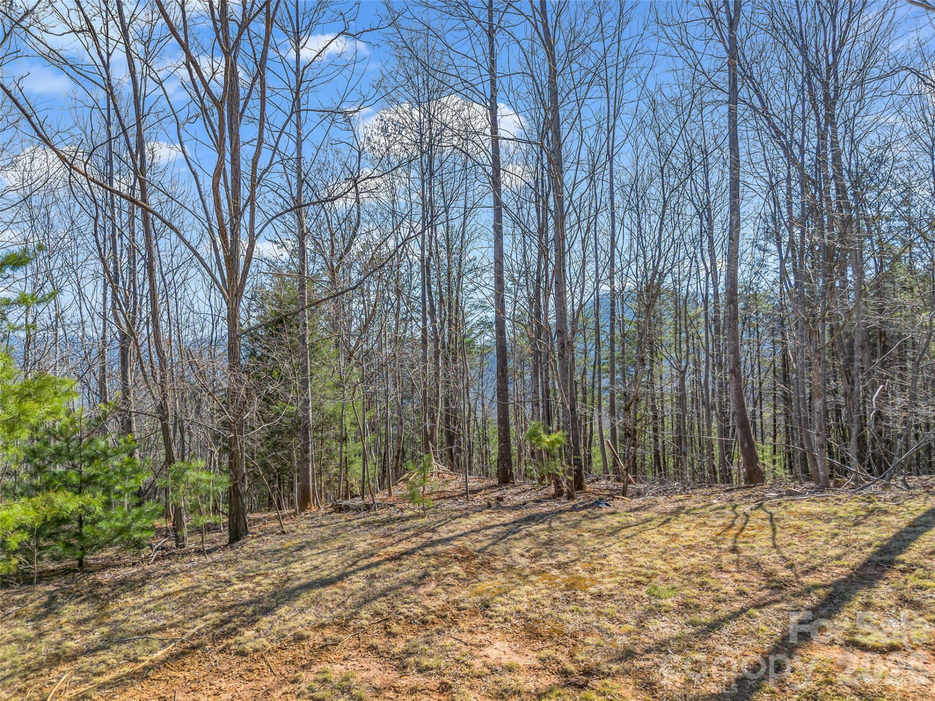 190 Cherry Hill None - Photo 7