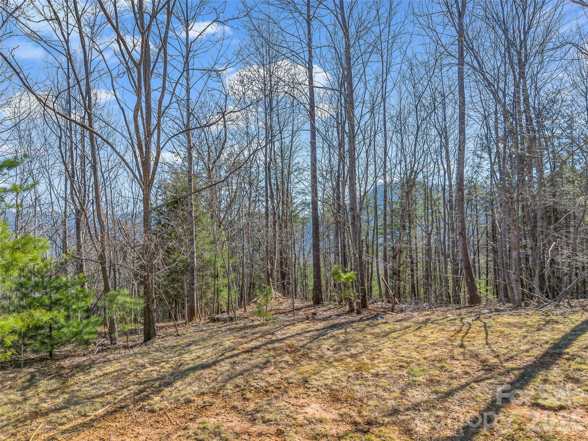 190 Cherry Hill None - Photo 7