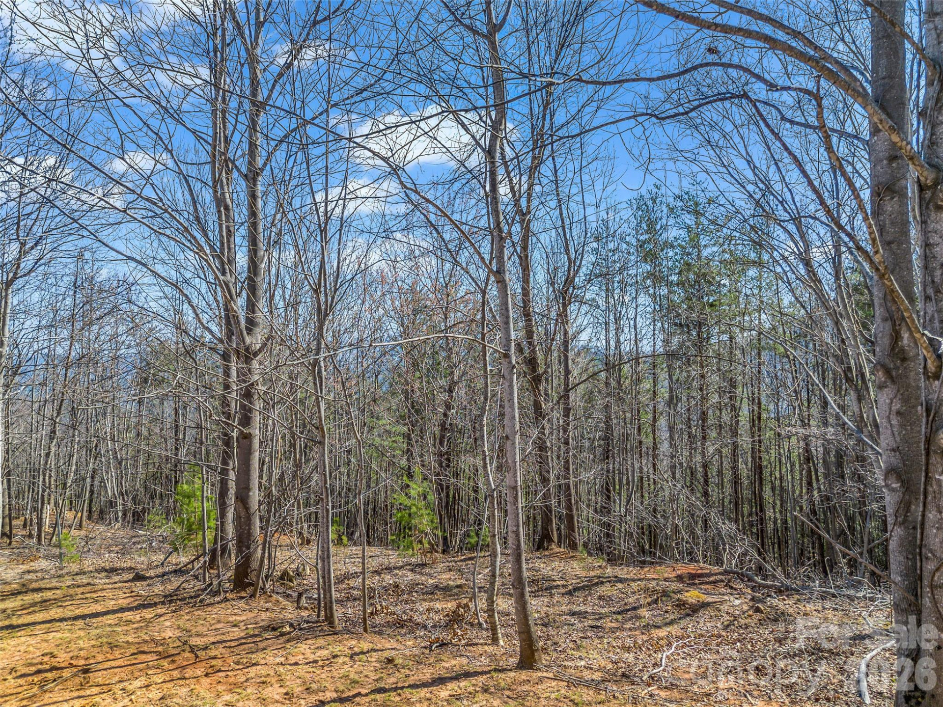 190 Cherry Hill None - Photo 8