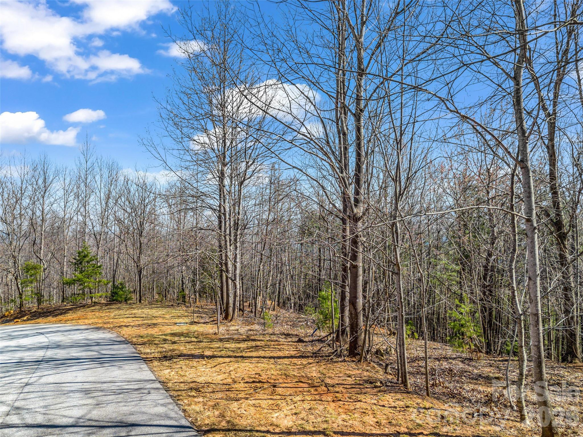 190 Cherry Hill None - Photo 9