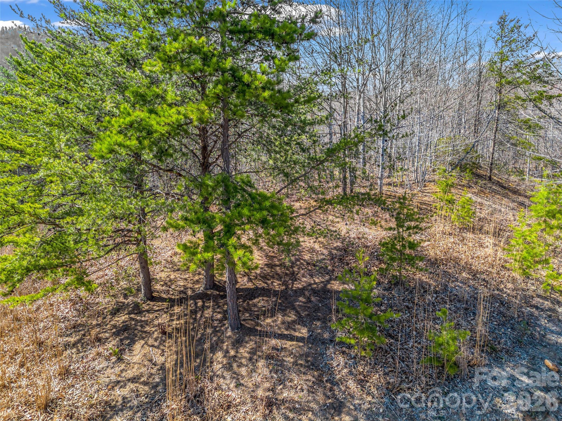 190 Cherry Hill None - Photo 10