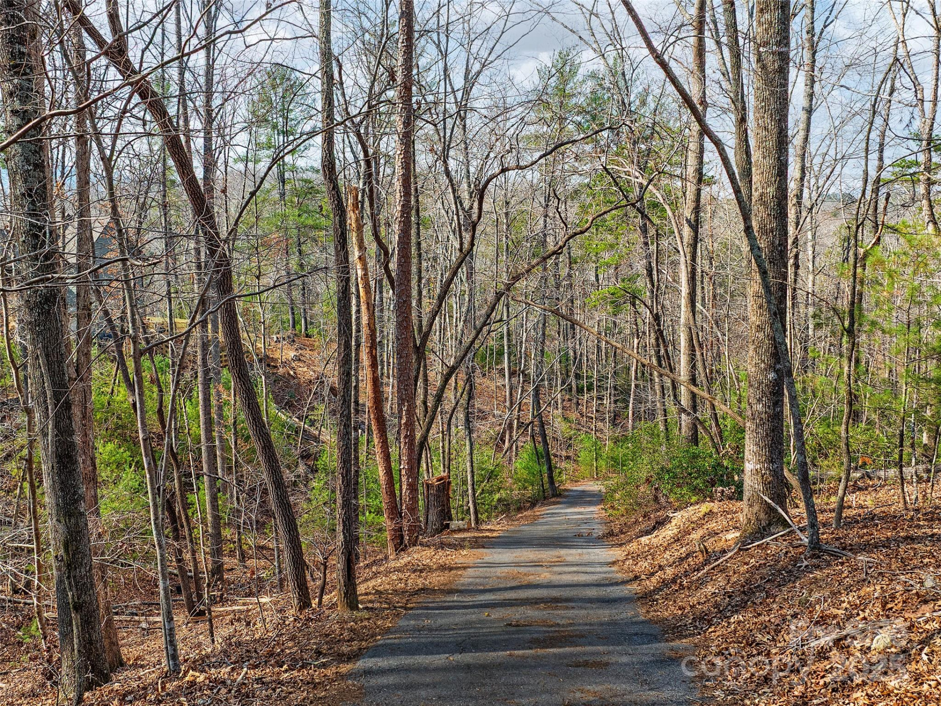 Lot 27 South Cove Road - Photo 11