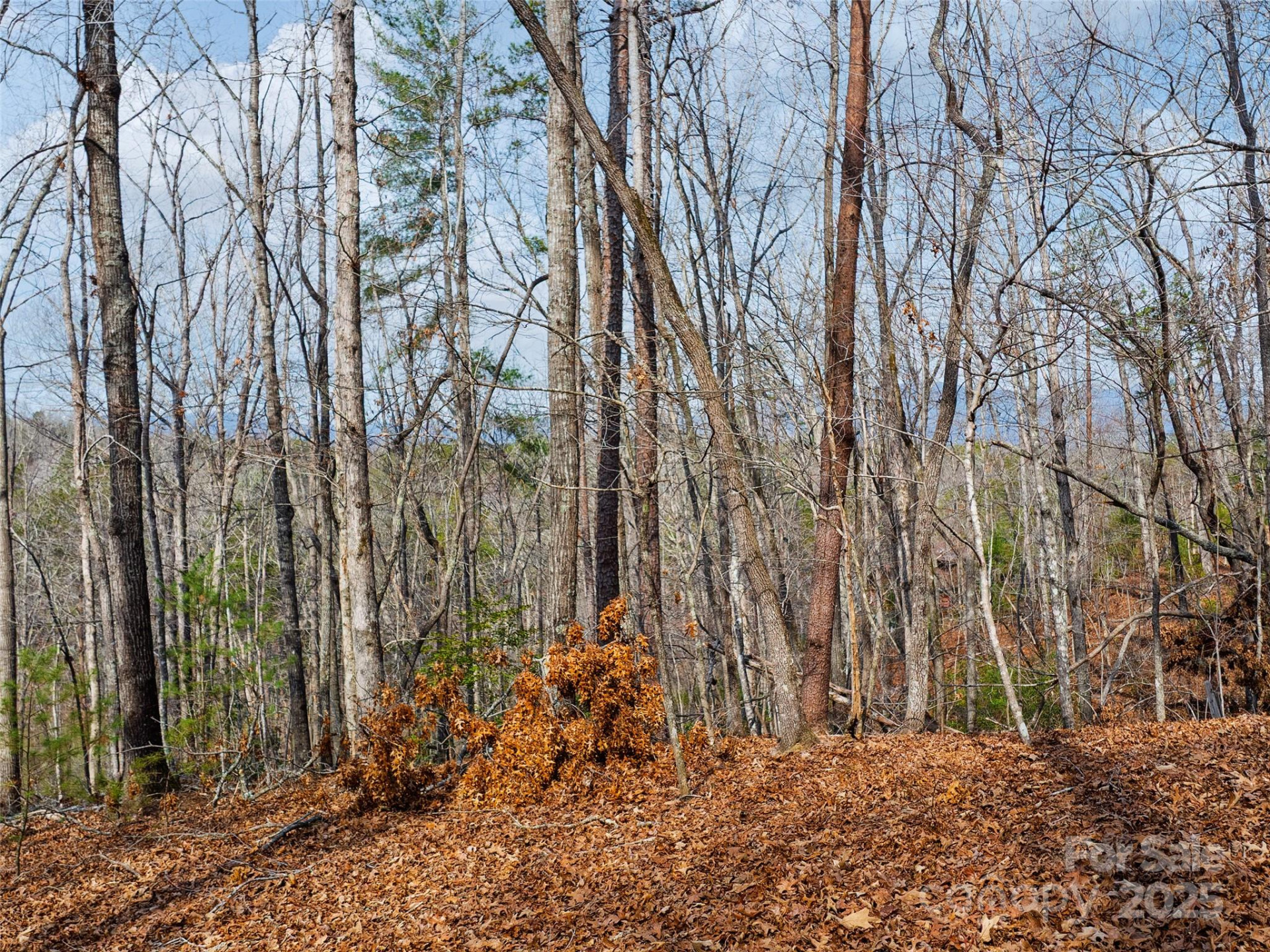 Lot 27 South Cove Road - Photo 12