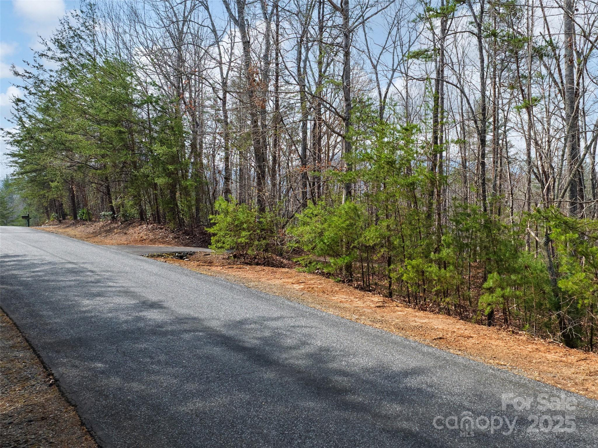 Lot 27 South Cove Road - Photo 13