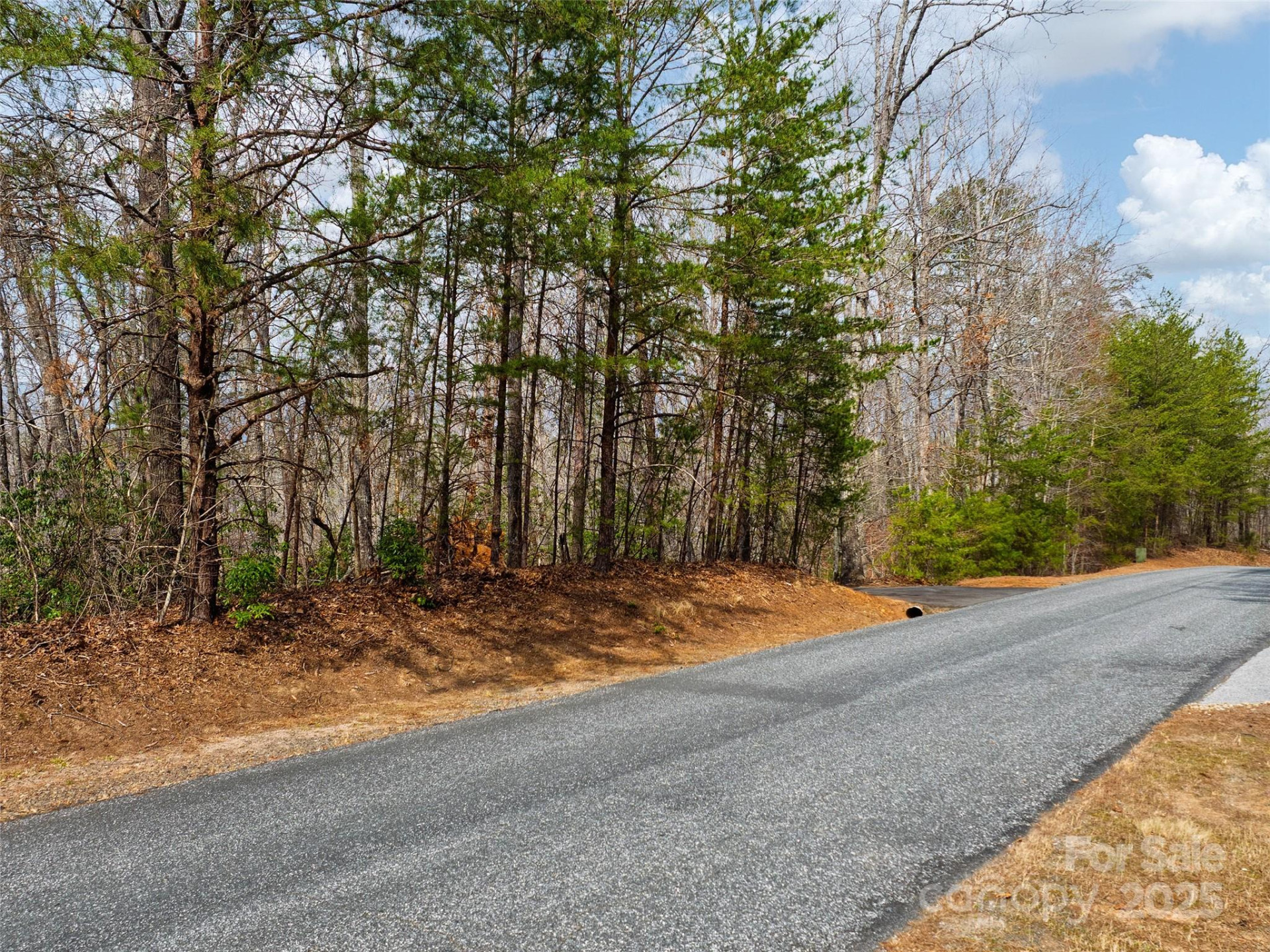 Lot 27 South Cove Road - Photo 14