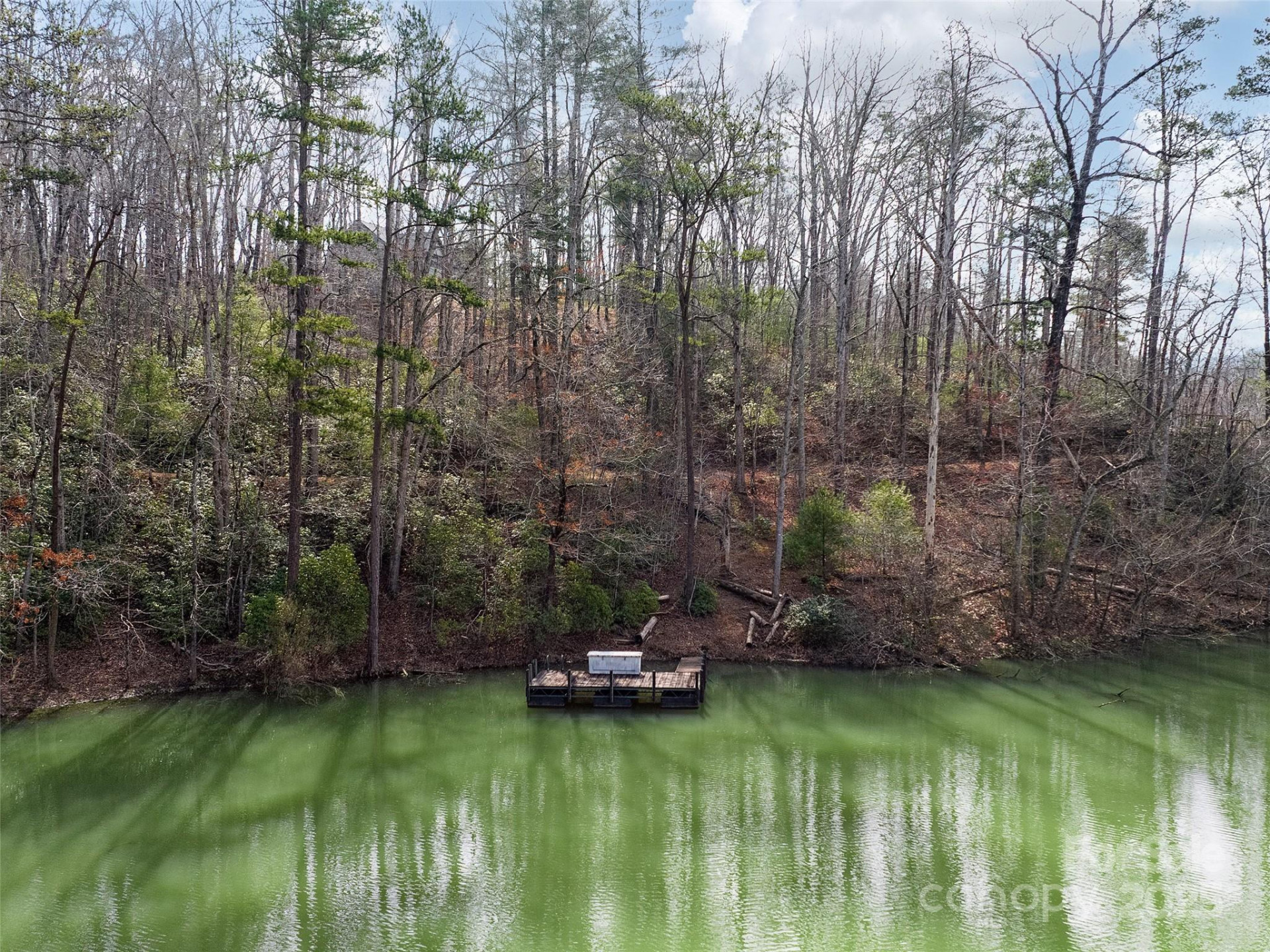 Lot 27 South Cove Road - Photo 3