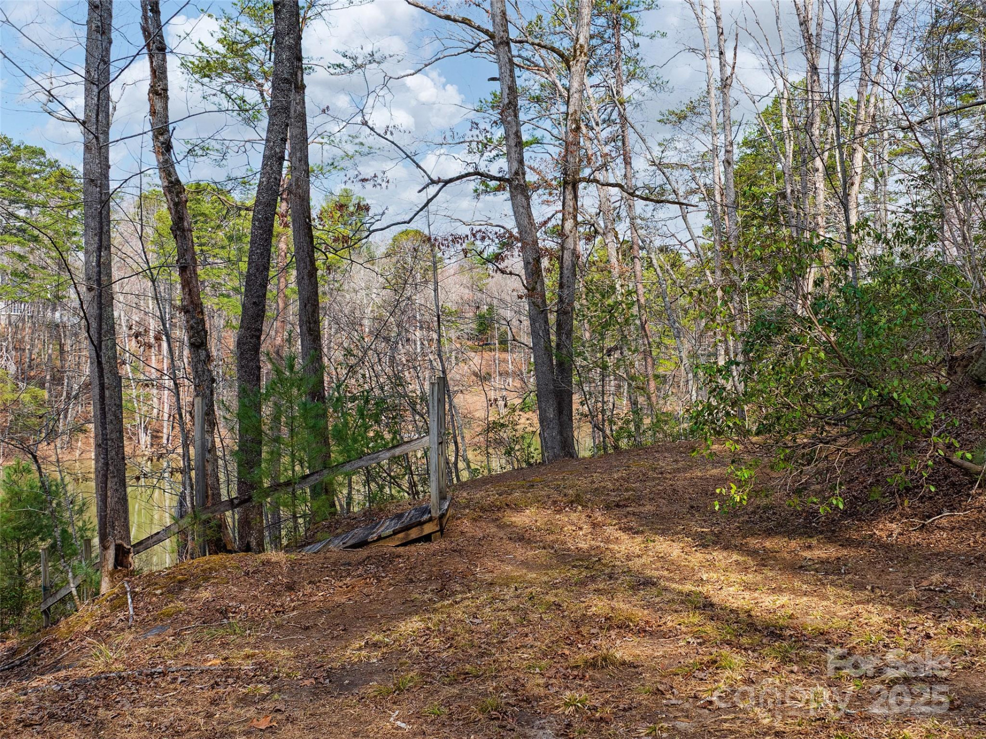 Lot 27 South Cove Road - Photo 4