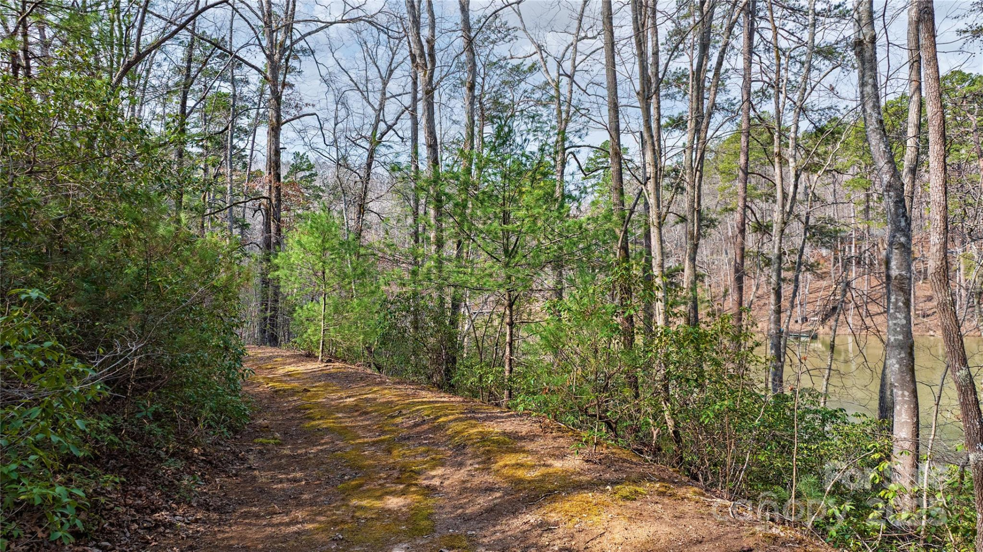 Lot 27 South Cove Road - Photo 6