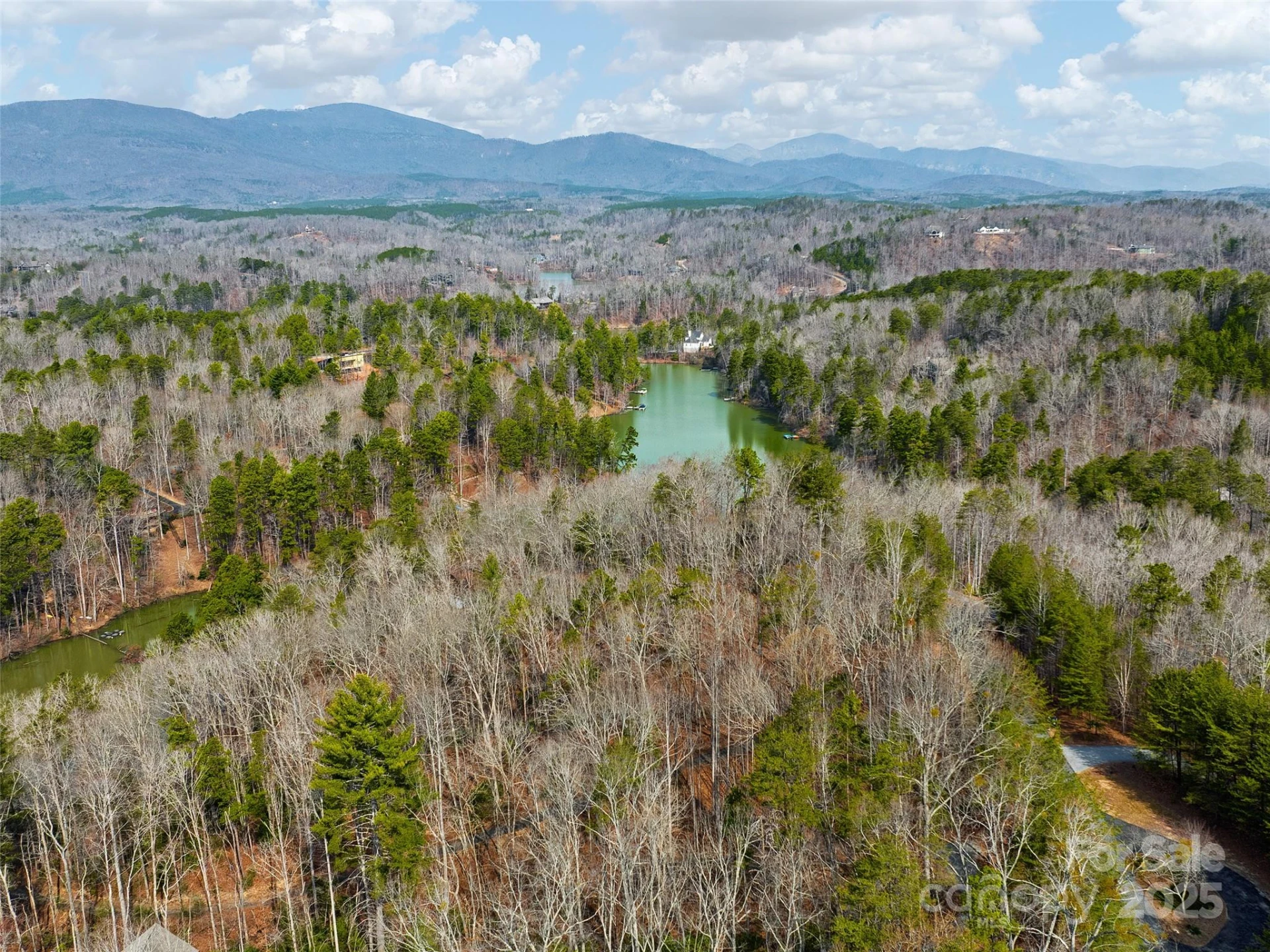 Lot 27 South Cove Road - Photo 9