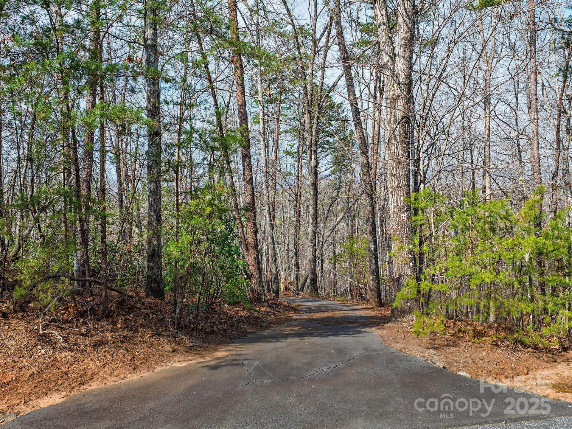 Lot 27 South Cove Road - Photo 10