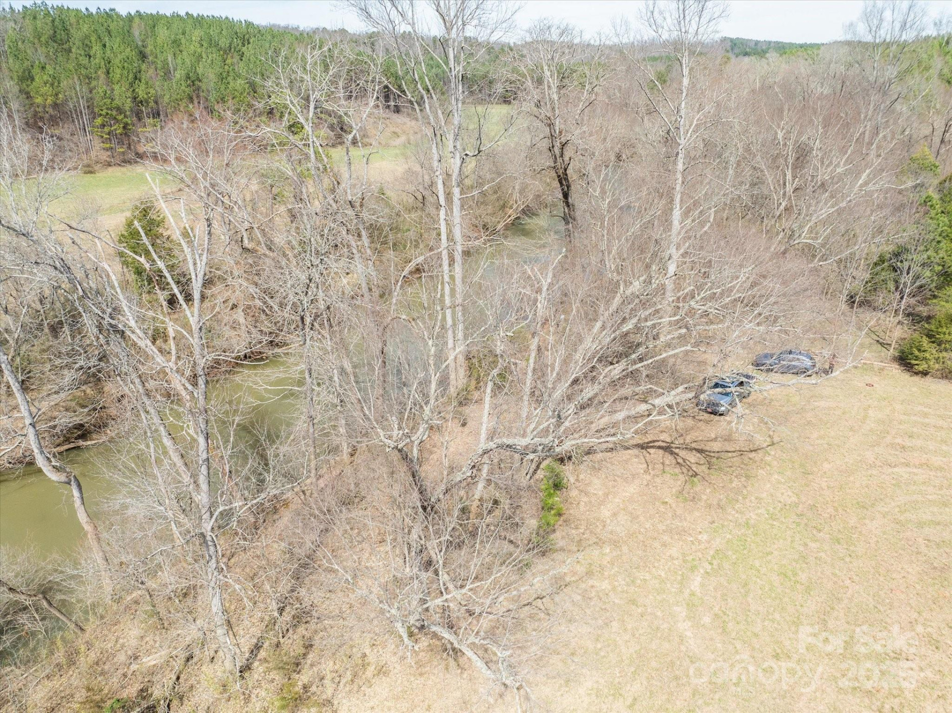 99999 Abrams & Moore Road - Photo 11