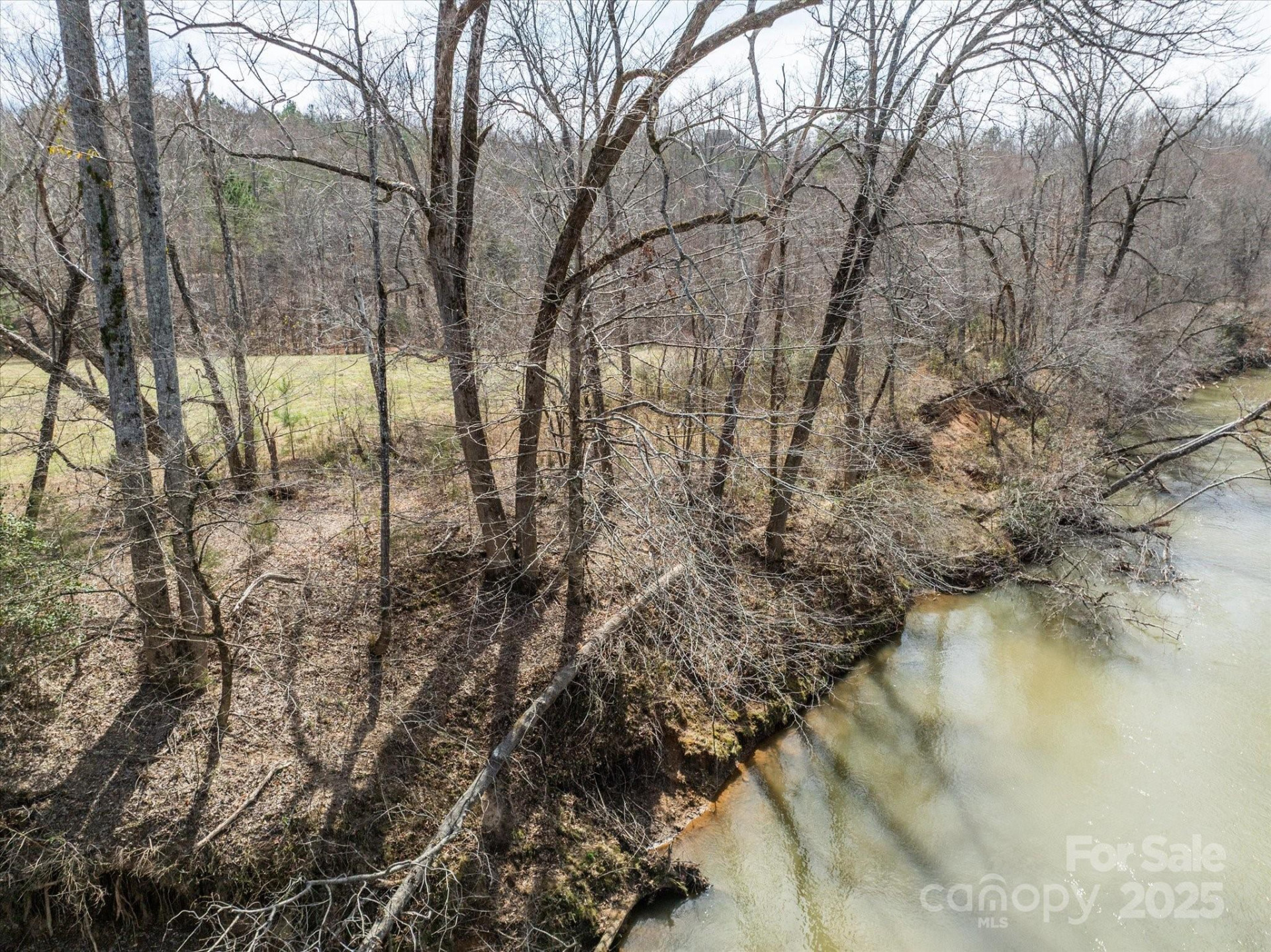 99999 Abrams & Moore Road - Photo 13