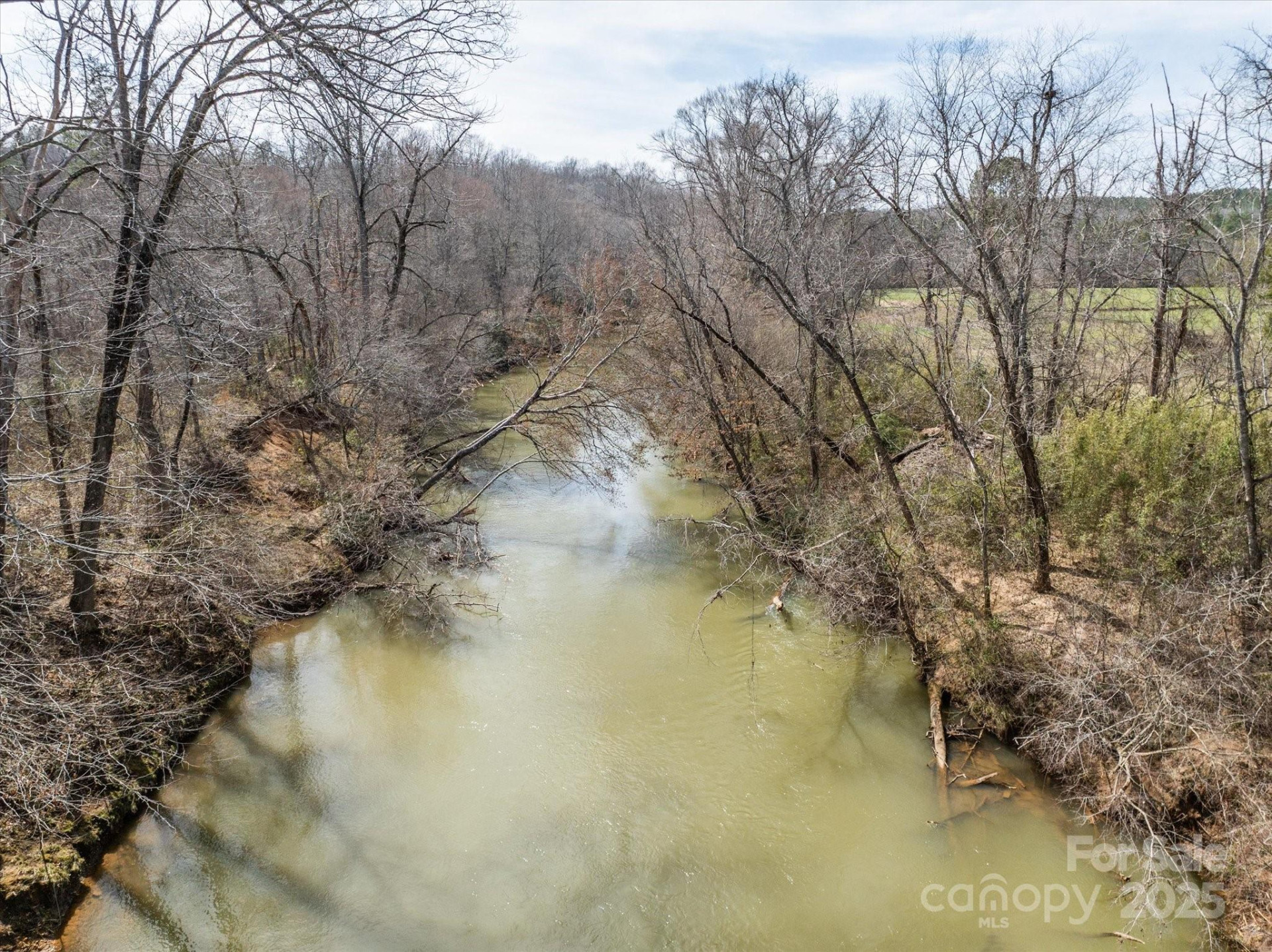 99999 Abrams & Moore Road - Photo 14