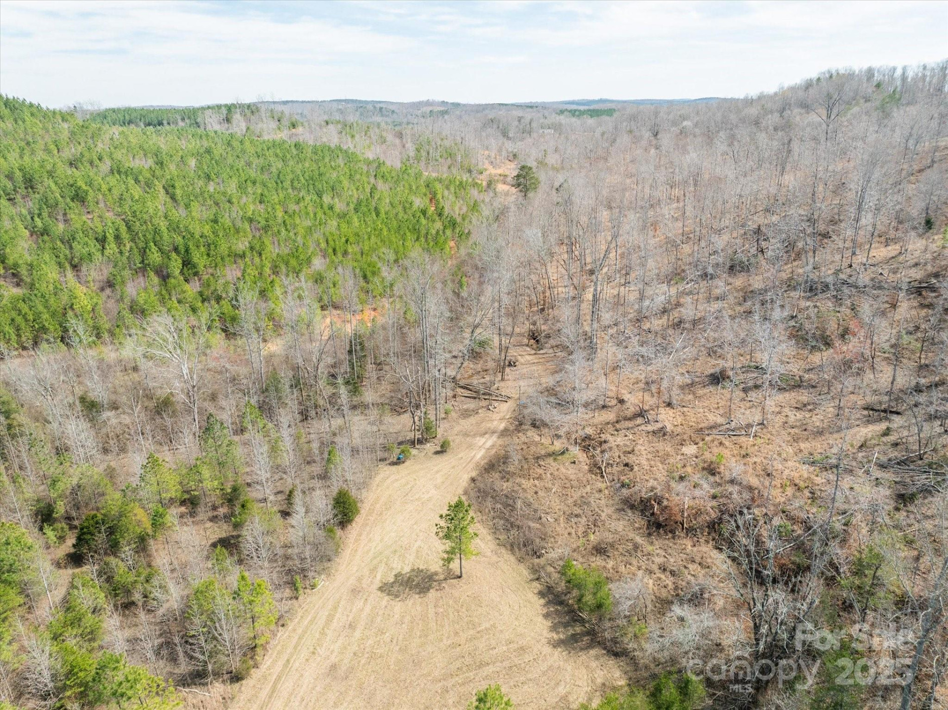 99999 Abrams & Moore Road - Photo 15