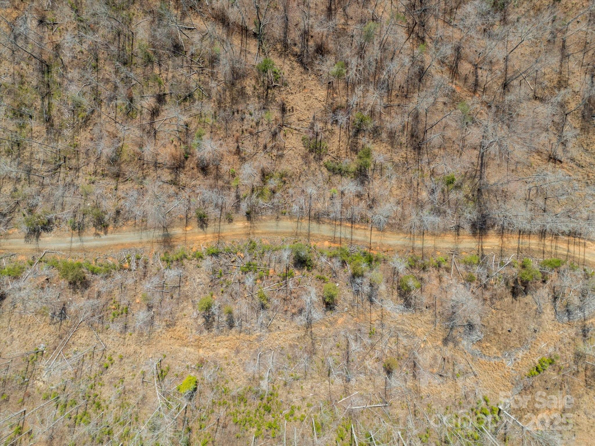 99999 Abrams & Moore Road - Photo 16