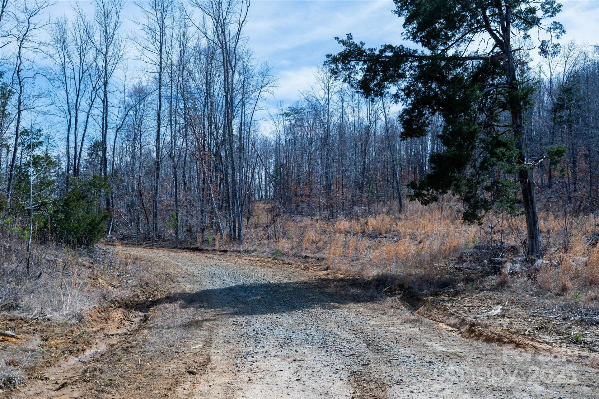 99999 Abrams & Moore Road - Photo 17