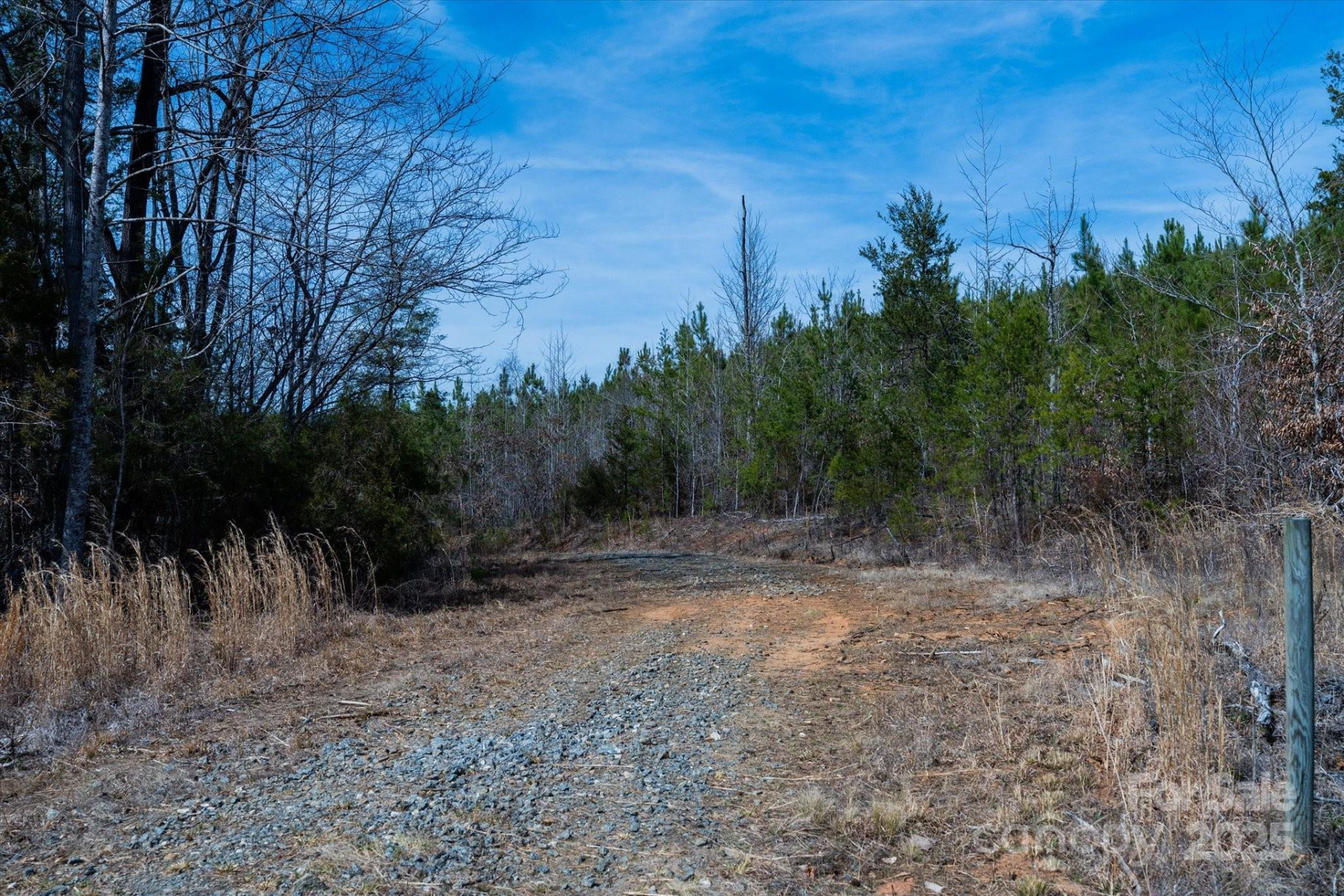 99999 Abrams & Moore Road - Photo 18