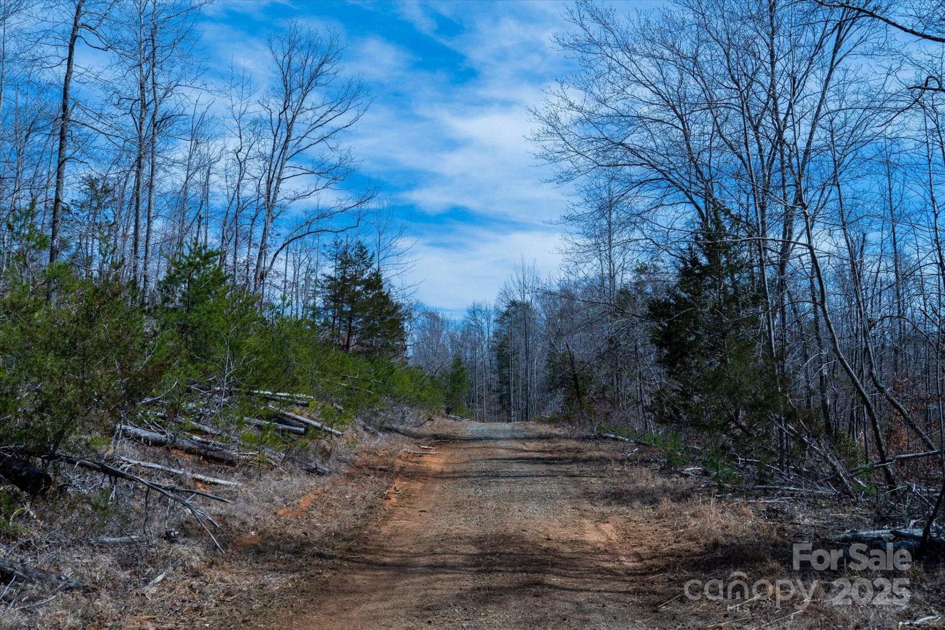 99999 Abrams & Moore Road - Photo 19