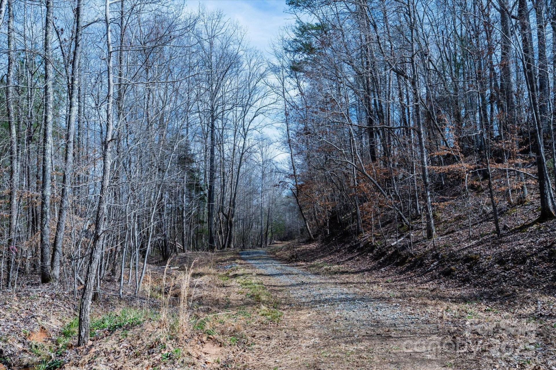 99999 Abrams & Moore Road - Photo 20