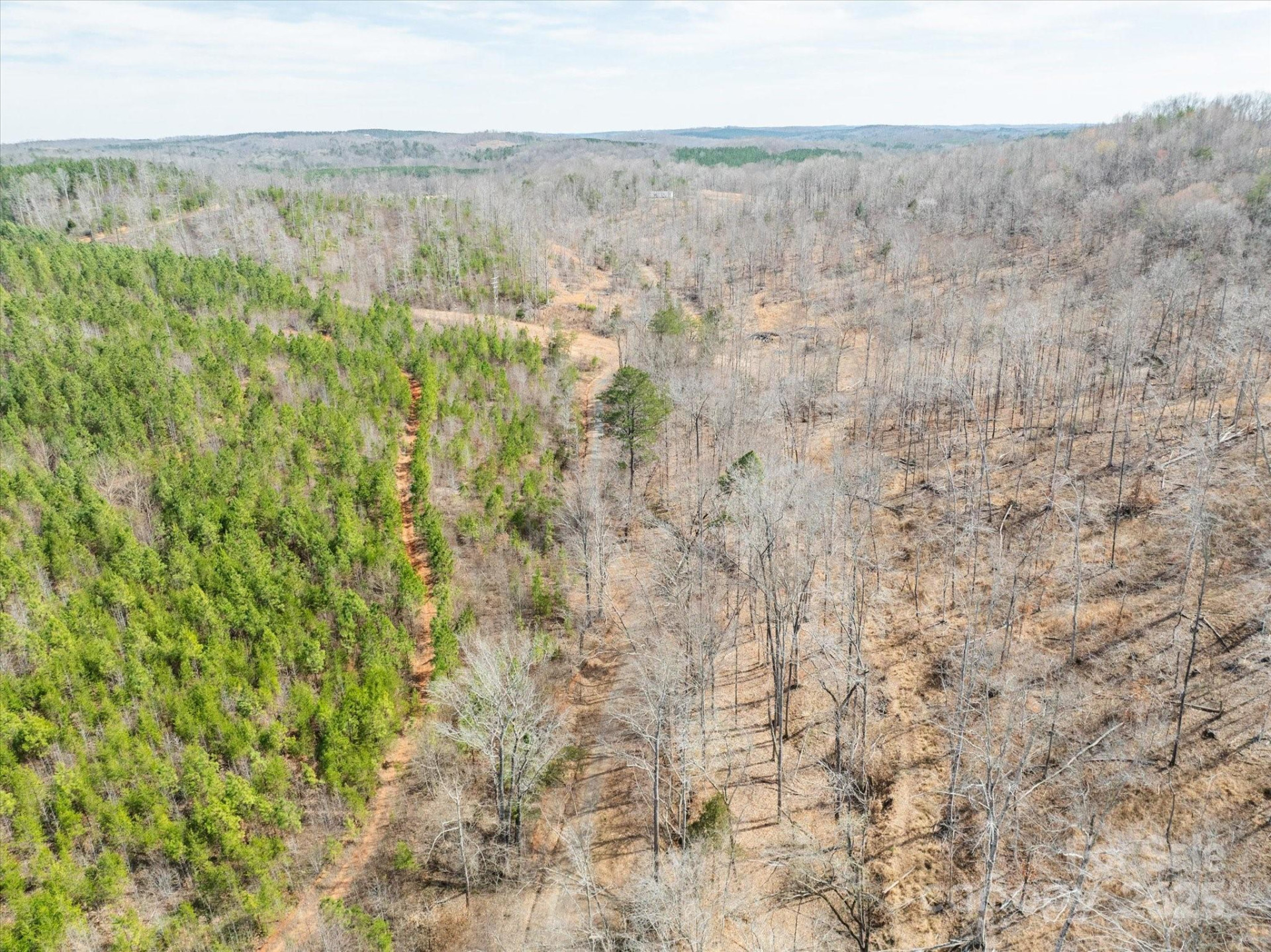 99999 Abrams & Moore Road - Photo 21