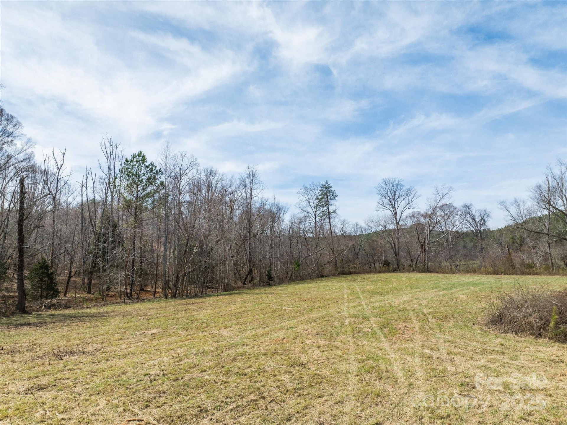 99999 Abrams & Moore Road - Photo 4