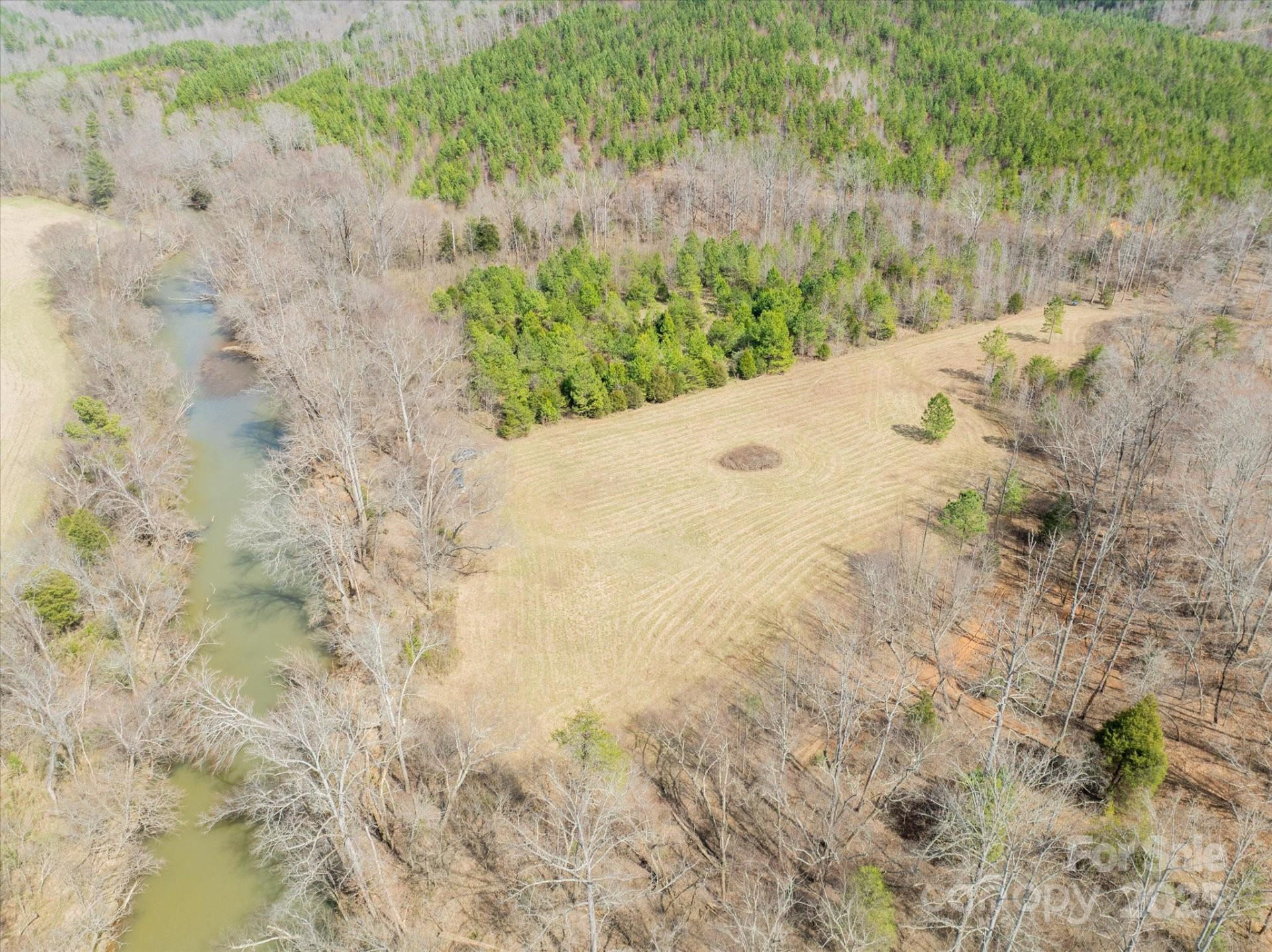 99999 Abrams & Moore Road - Photo 5