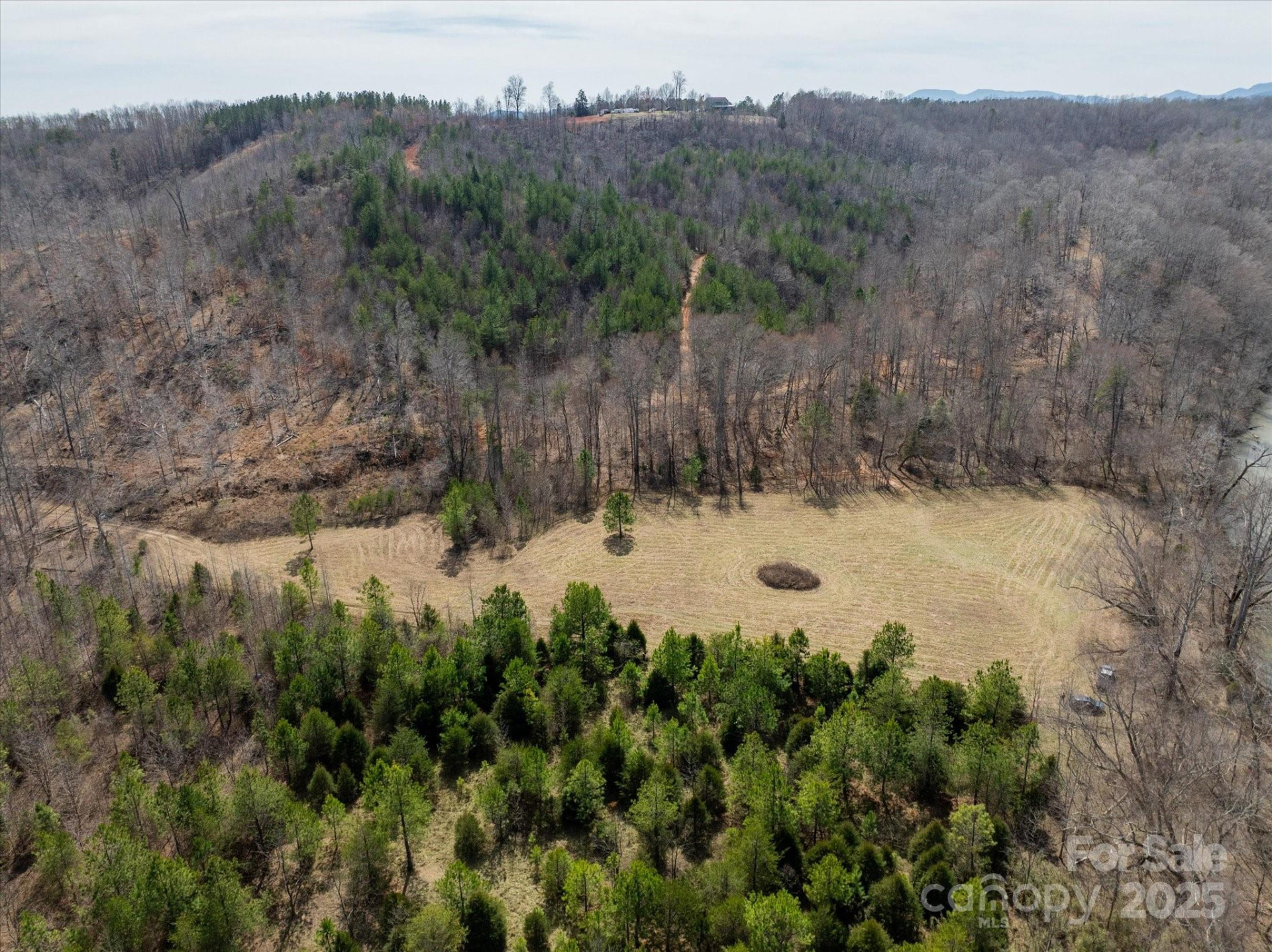 99999 Abrams & Moore Road - Photo 6