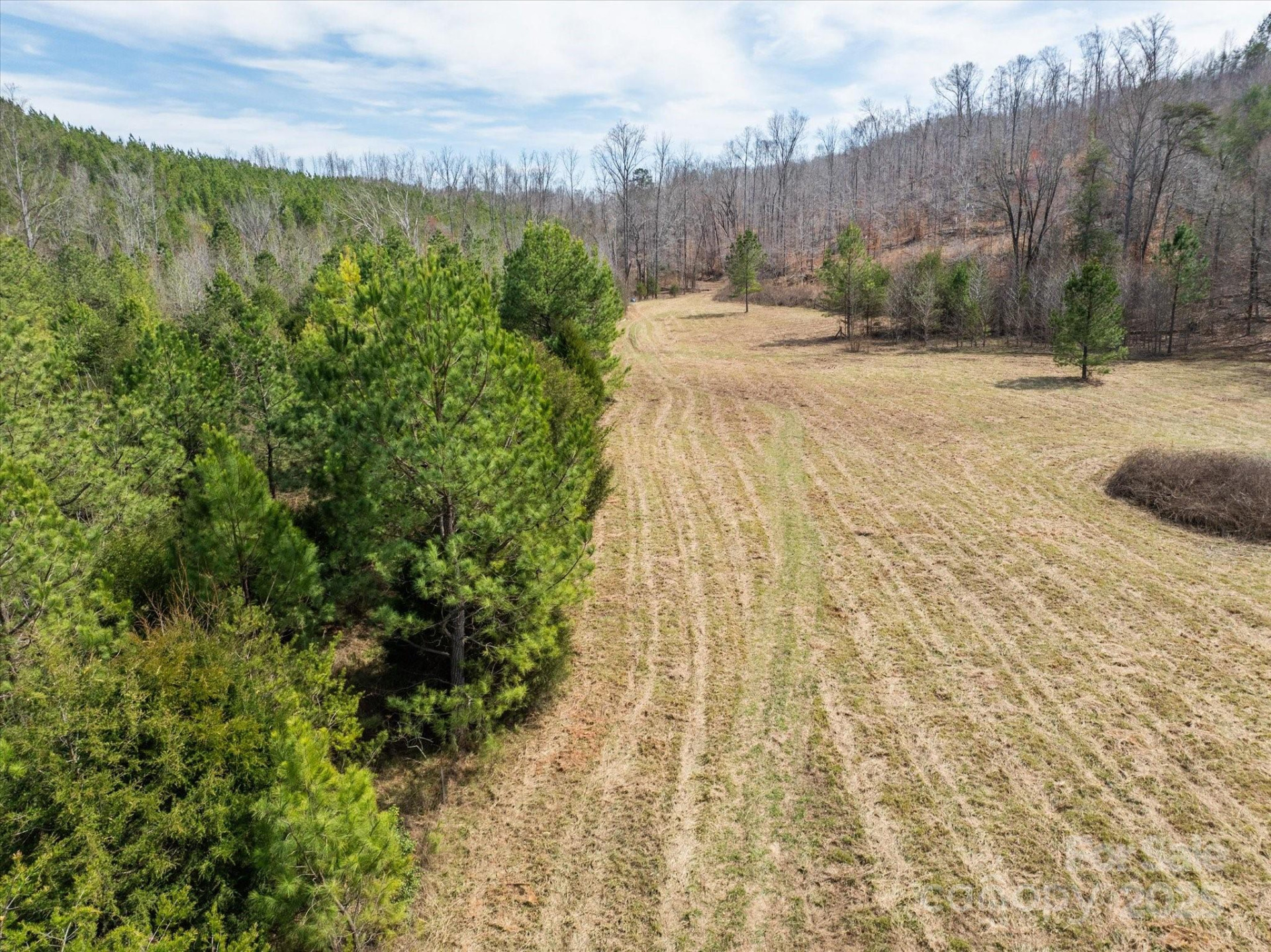 99999 Abrams & Moore Road - Photo 8