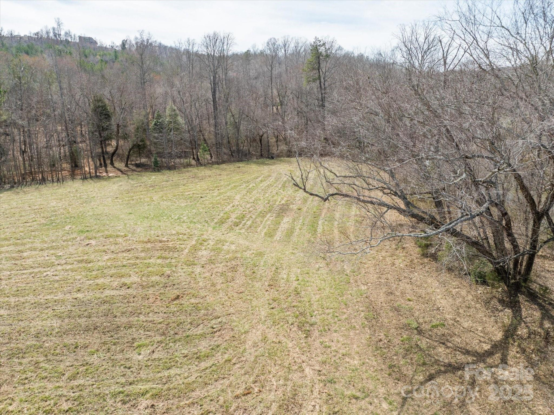 99999 Abrams & Moore Road - Photo 9